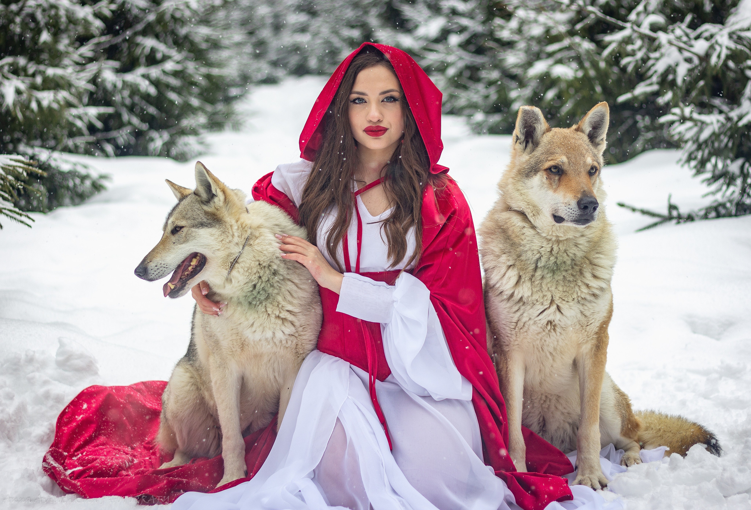 Альбомы стилизованных фотосессий и съёмки с животными. Семейный и свадебный фотограф в Москве и Домодедово Анна Авилочкина