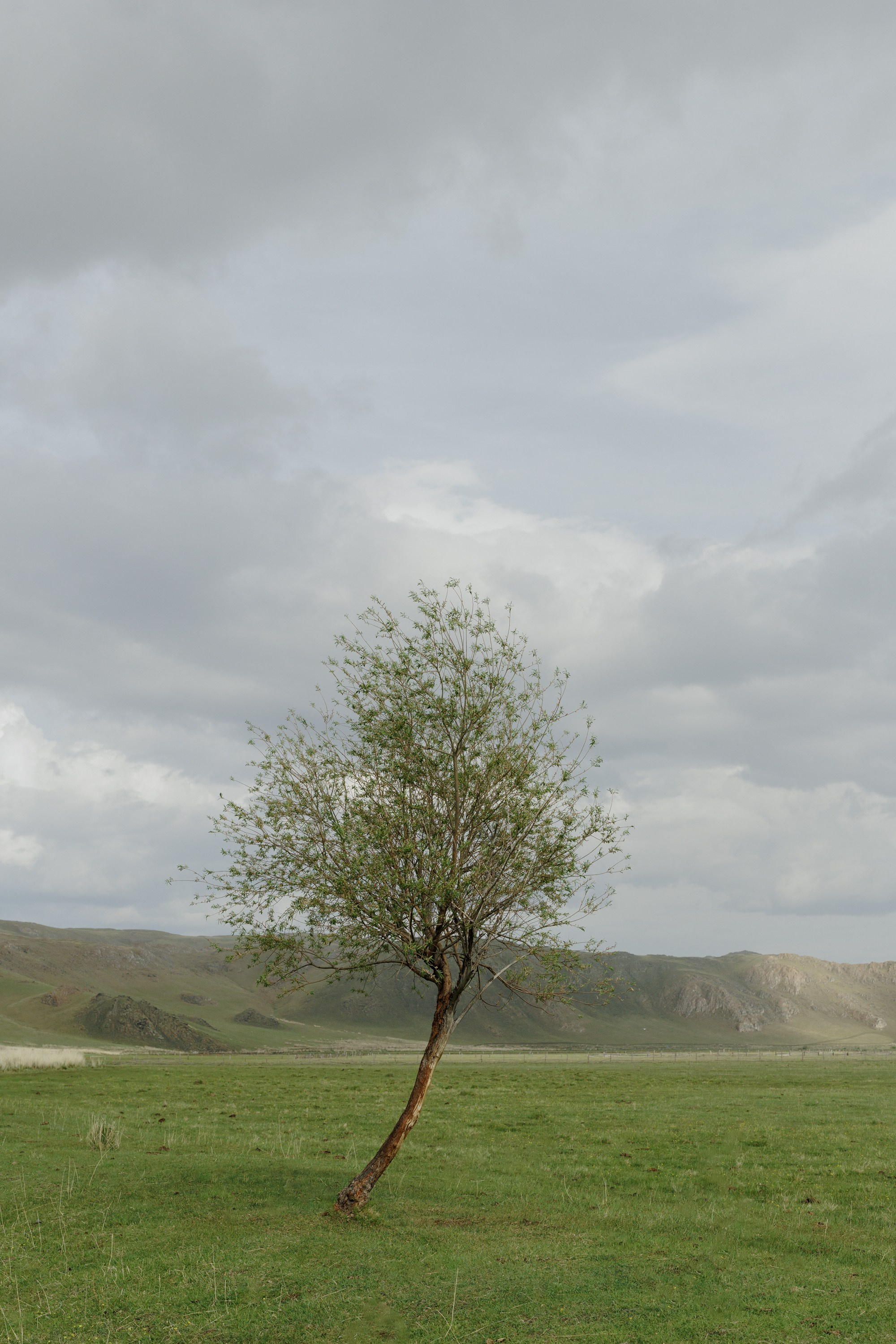 Ты, я и море. Свадебный фотограф