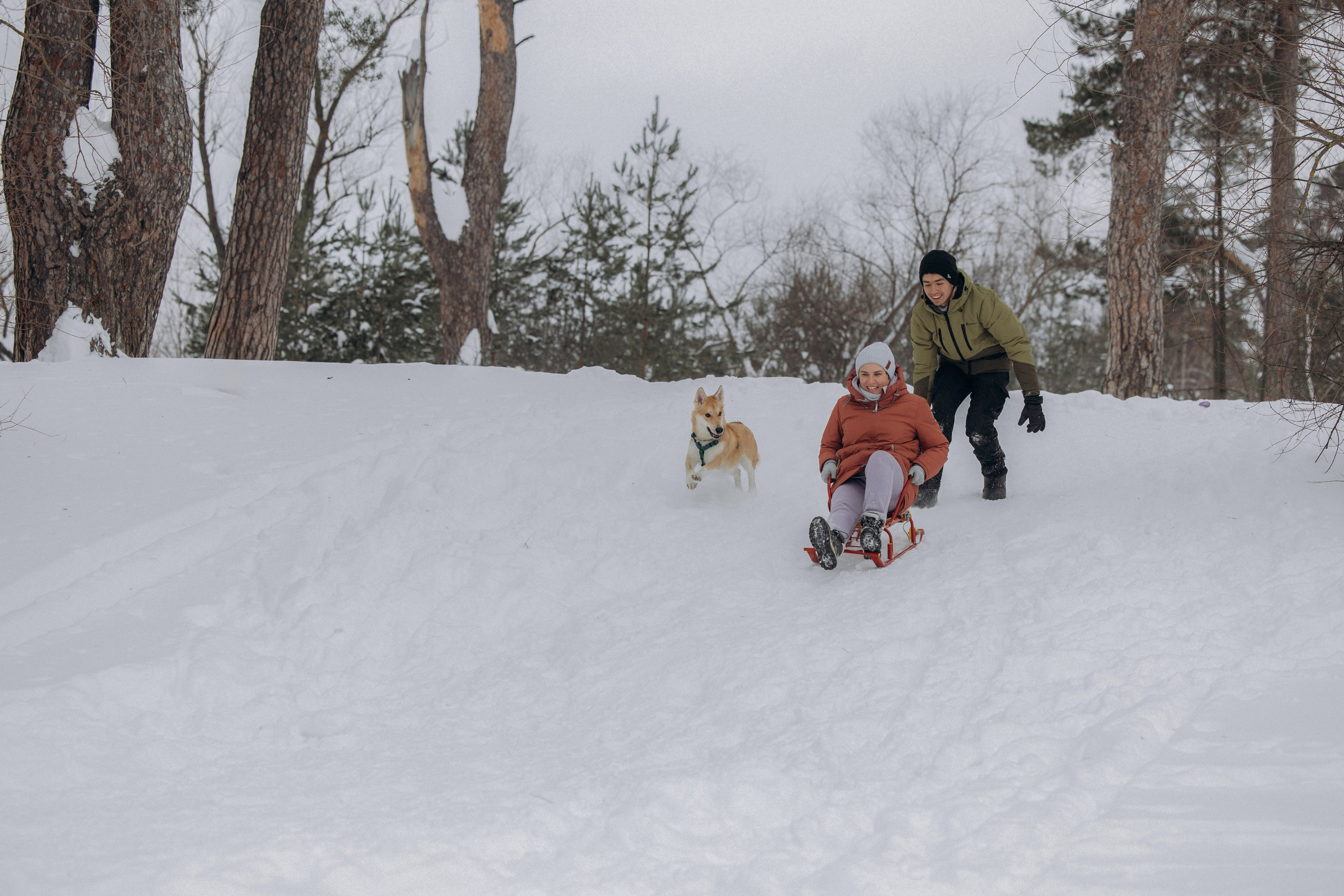 Прогулка на озере зимой. Фотограф анималист в Казани Алина Сулейманова. Фотограф животных