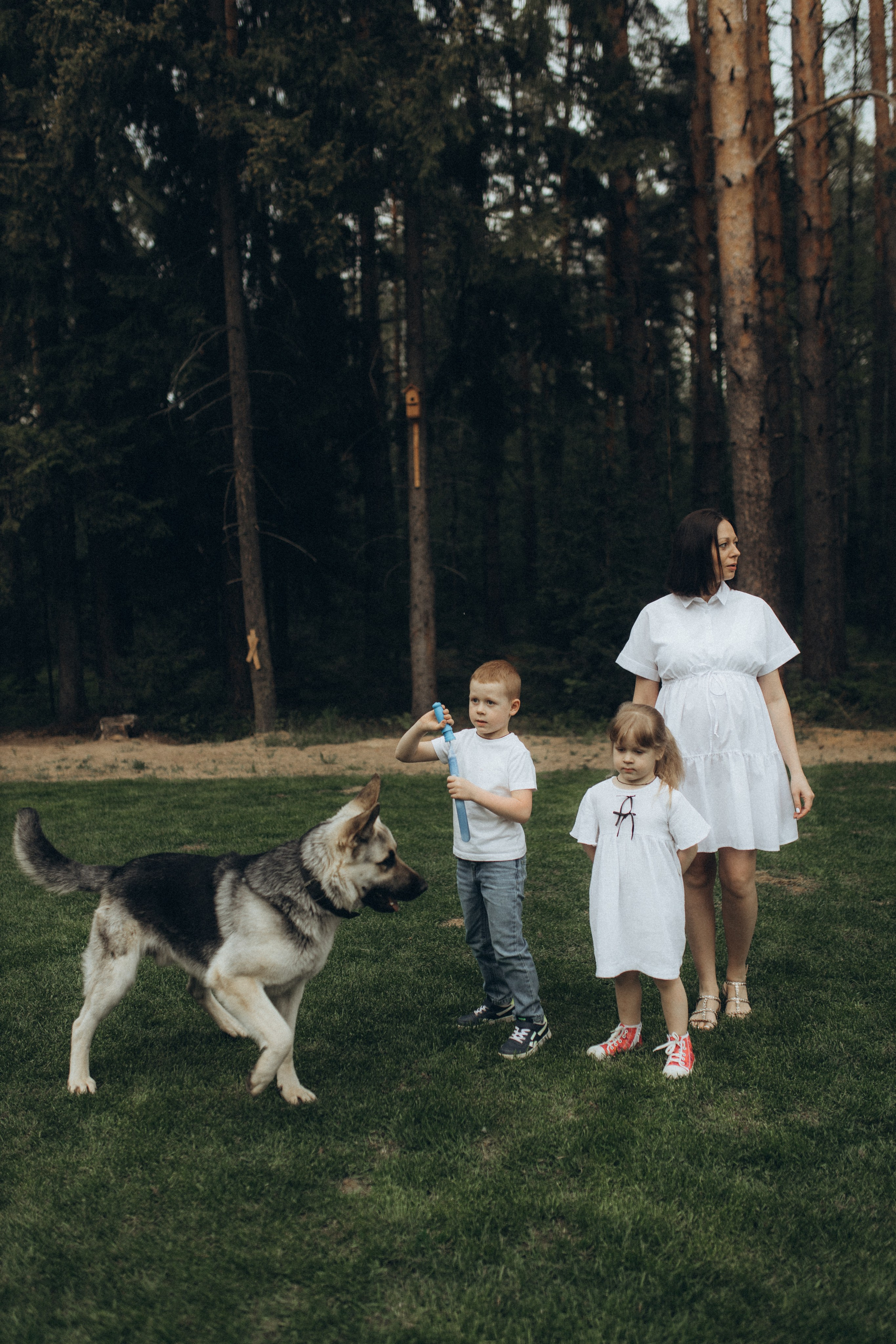 Семейная съемка. Беременность. Фотограф НОГИНСК, Москва, Анастасия Белая