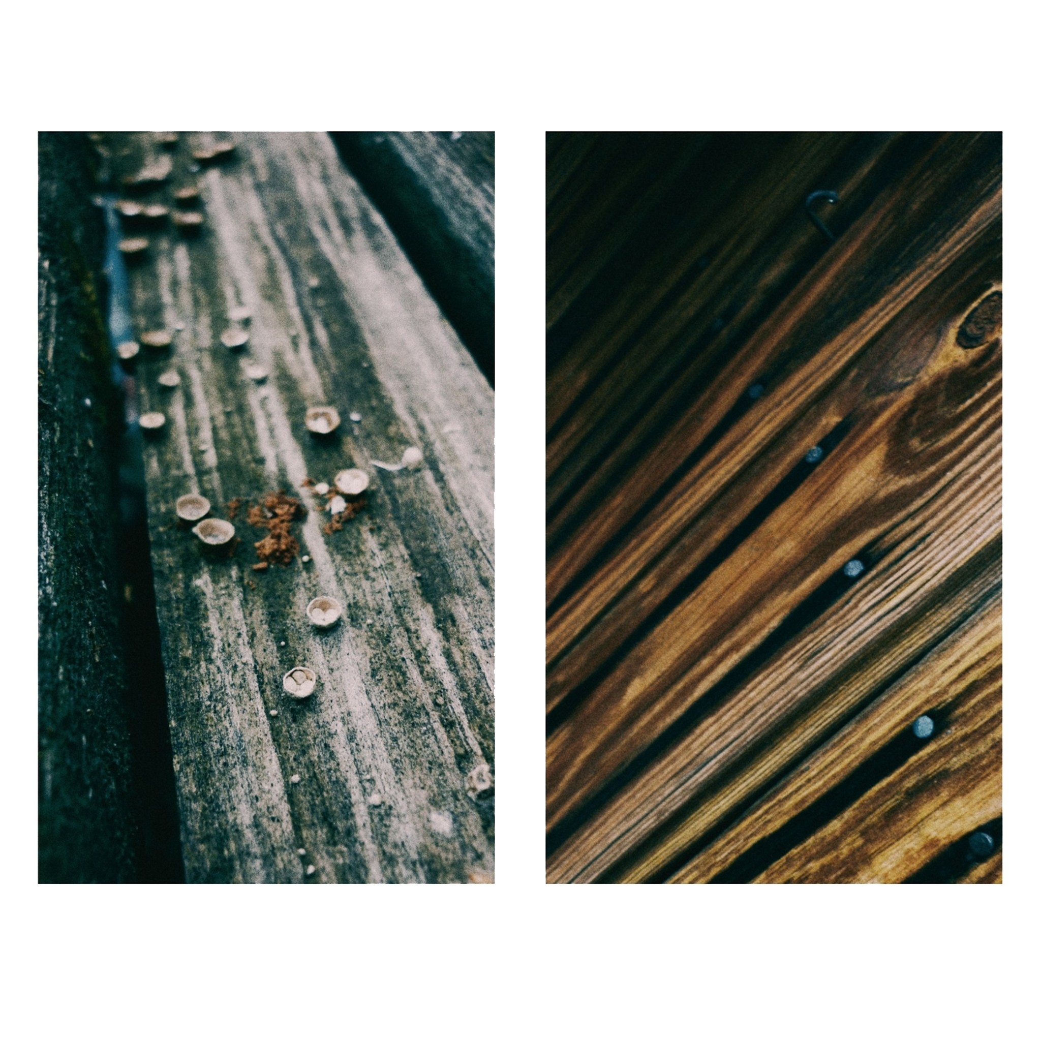 Художественная фотосессия в стиле Ню в Тюмени — Лунная — Дарья Мустафина. Фотограф Дарья Мустафина, Тюмень