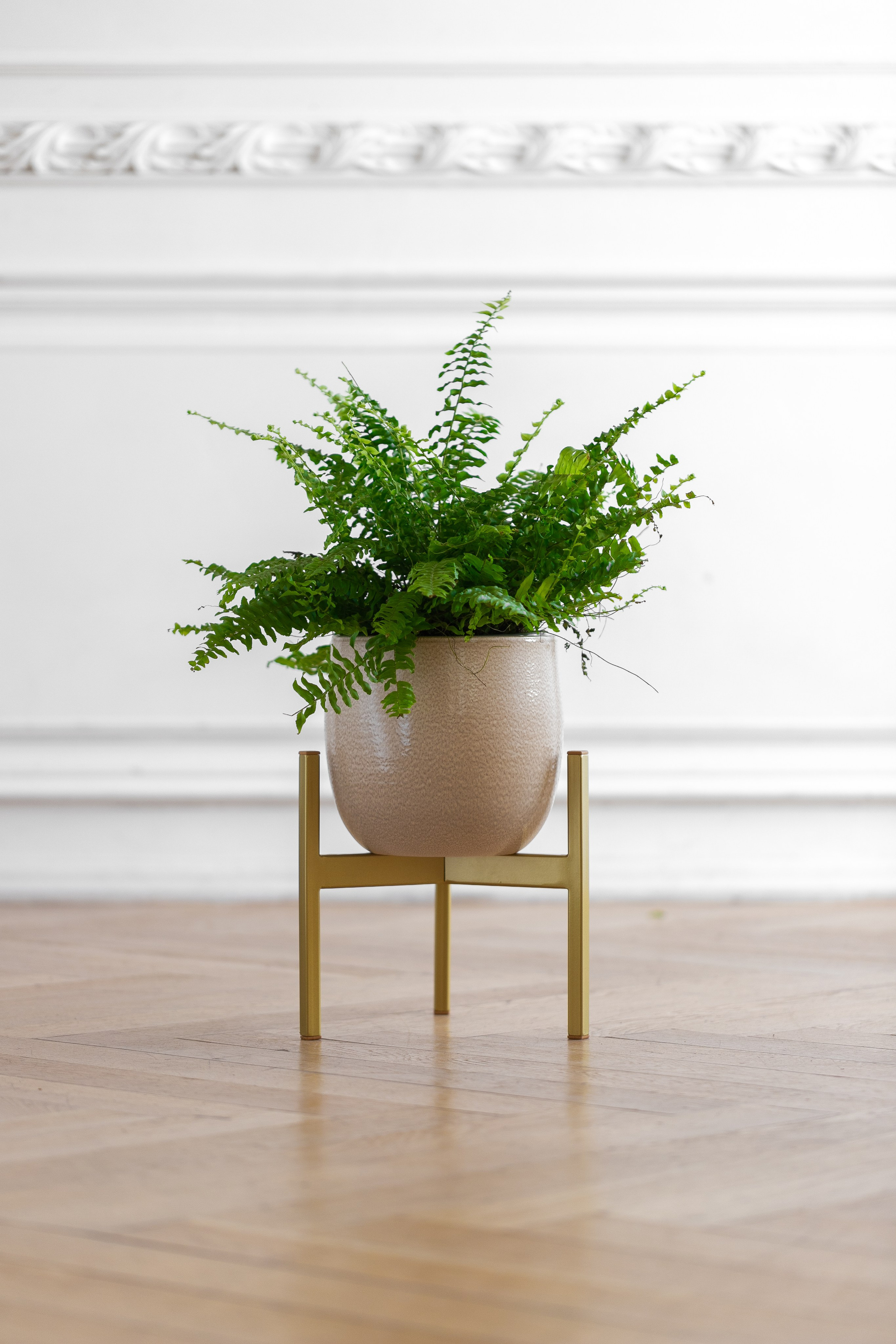 GREENWEEN. Дизайнерская мебель. Интерьерный фотограф и видеограф в Санкт-Петербурге Вадим Балбашевский