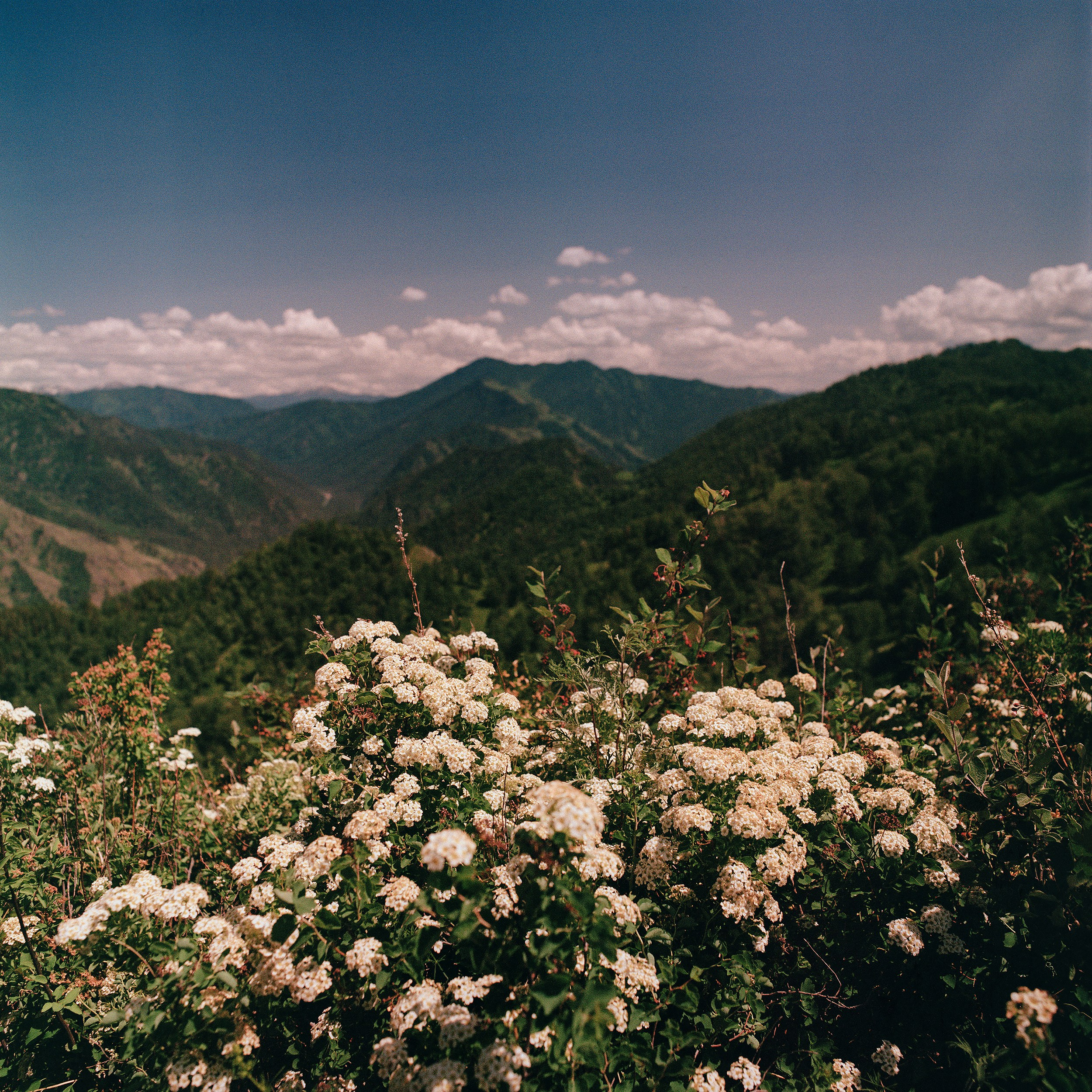 Пейзажные фотографии Алтая. Портретный и репортажный фотограф. Мыльников Илья