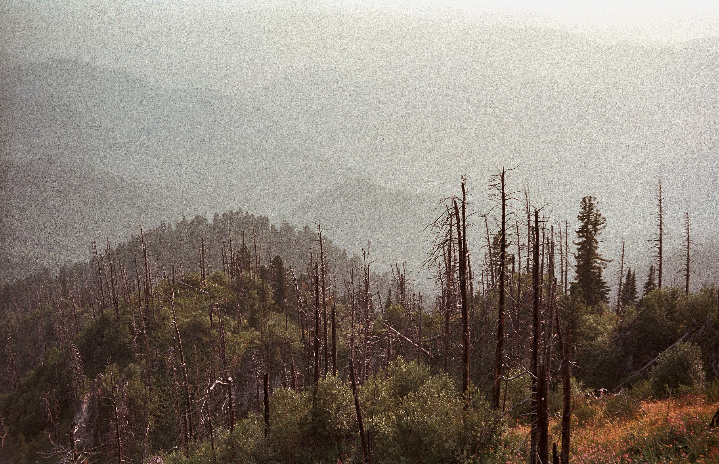 Пейзажные фотографии Алтая. Портретный и репортажный фотограф. Мыльников Илья