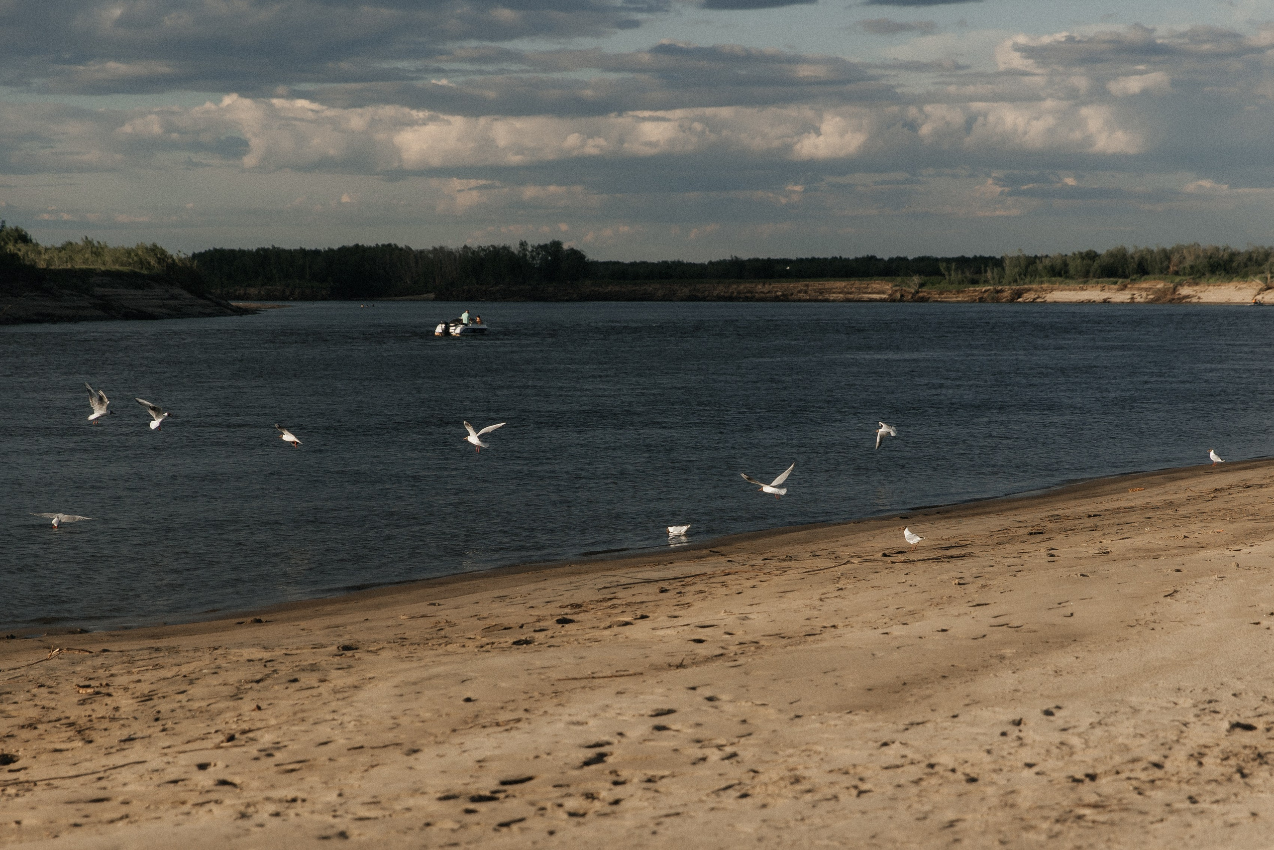 «Золотое время вместе с тобой». Свадебный и семейный фотограф в Якутске — Дьулусхан Прокопьев