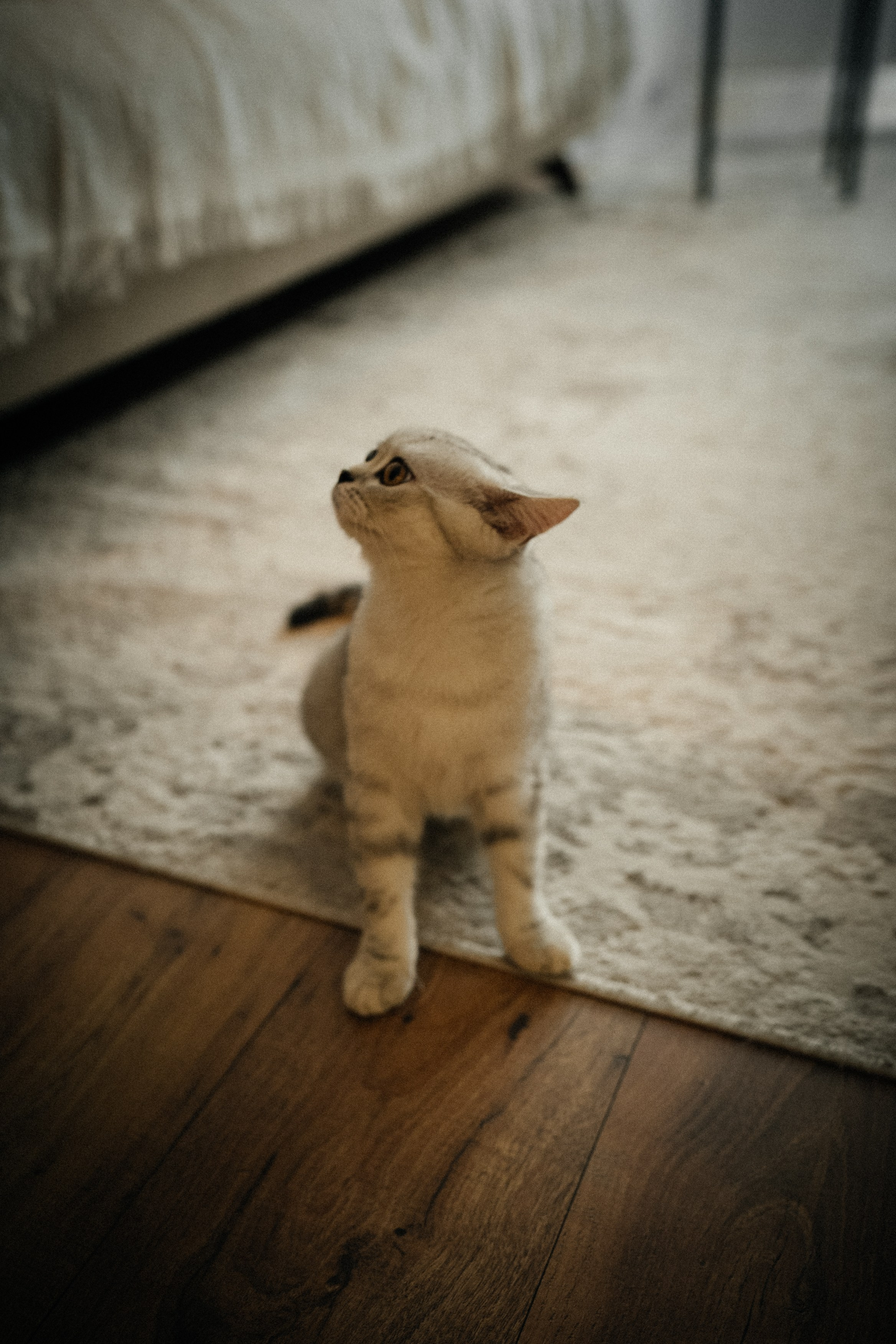 Семья Ксении и Максима. Фотограф | Юлия Арт| Обучение