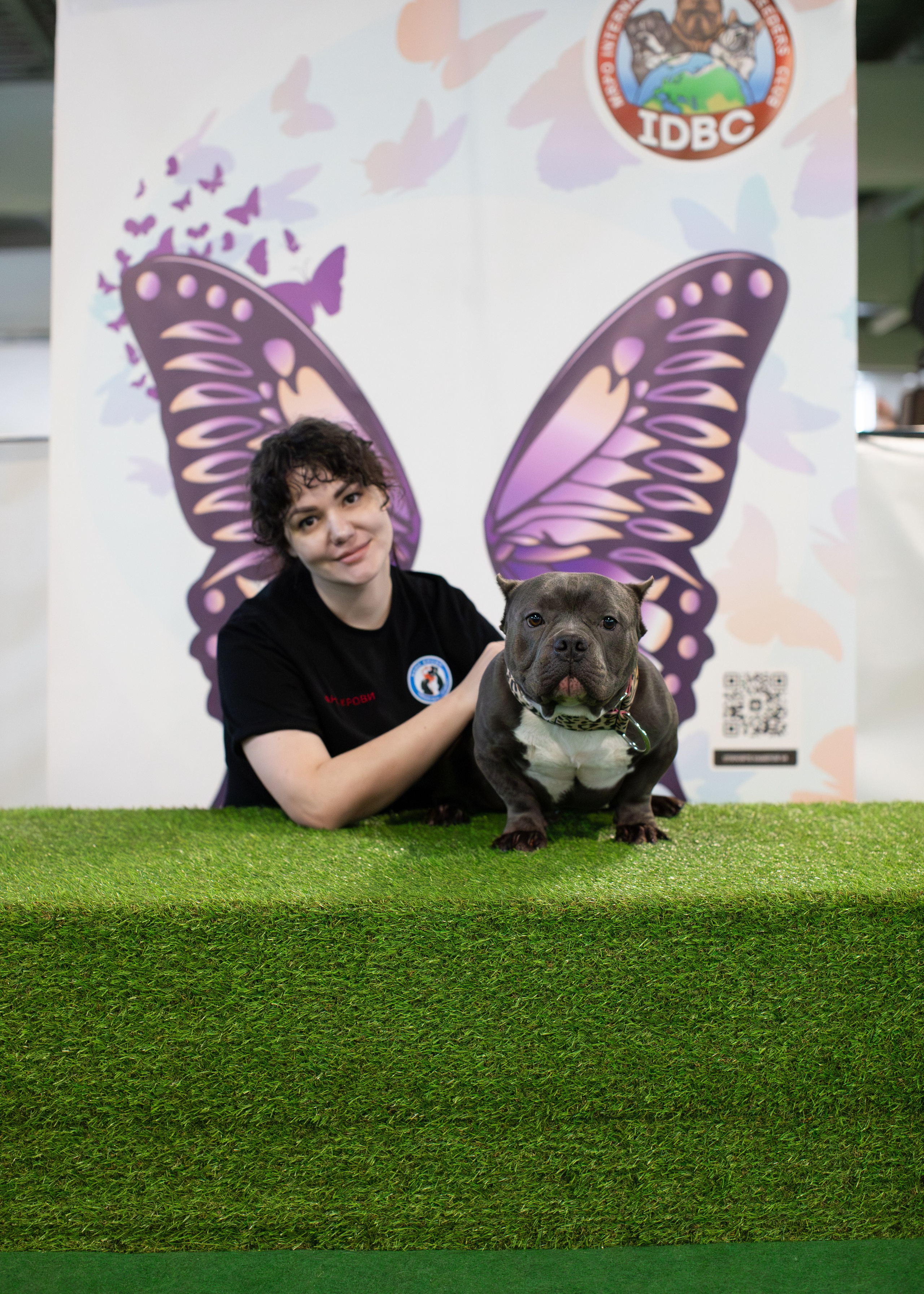 Выставки. Портретная и семейная съемка. Фотограф анималист