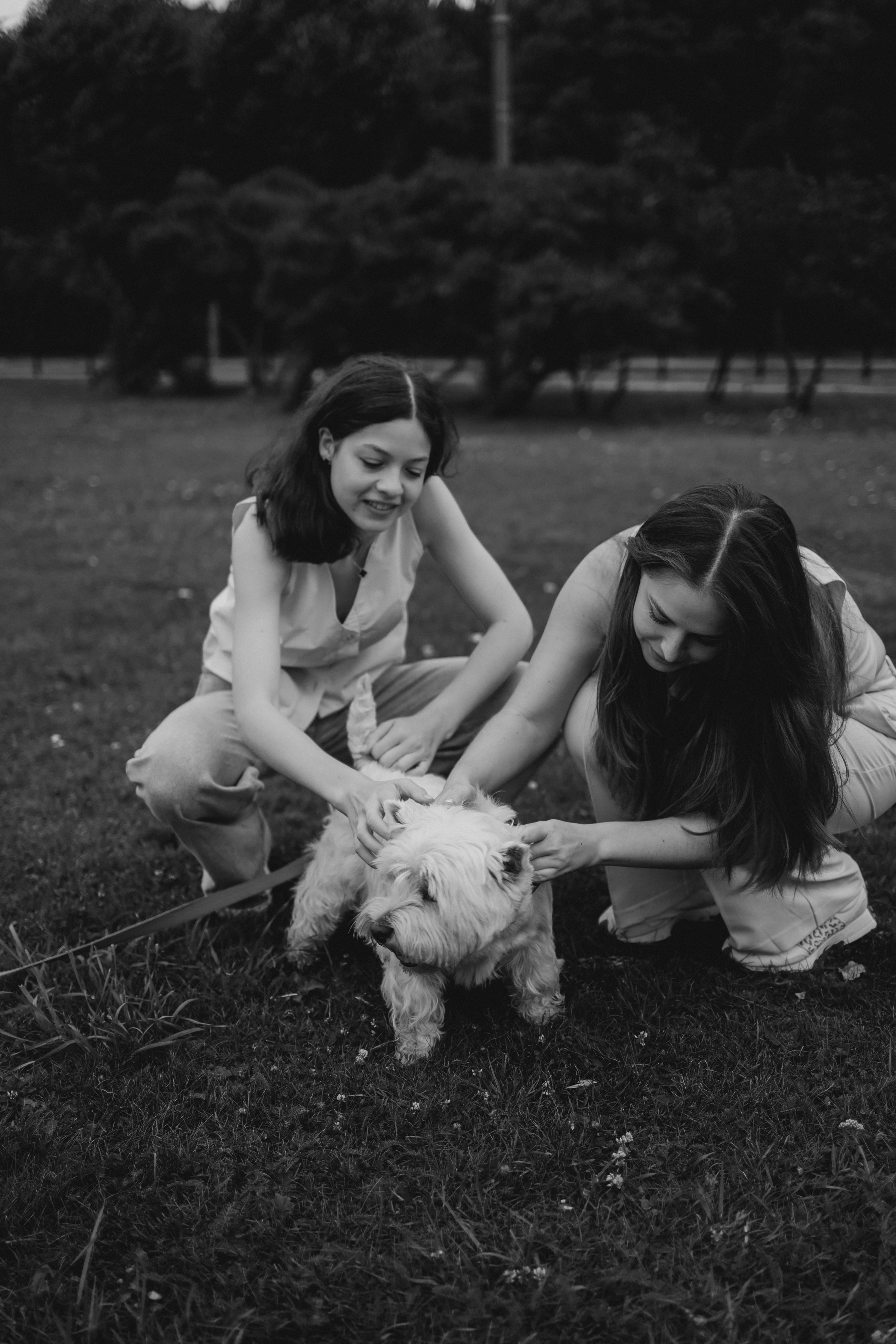 Моника, Мишель, Юлия, Дмитрий и песик Беня. Семейный, домашний, ньюборн фотограф Москва Цветкова Елизавета