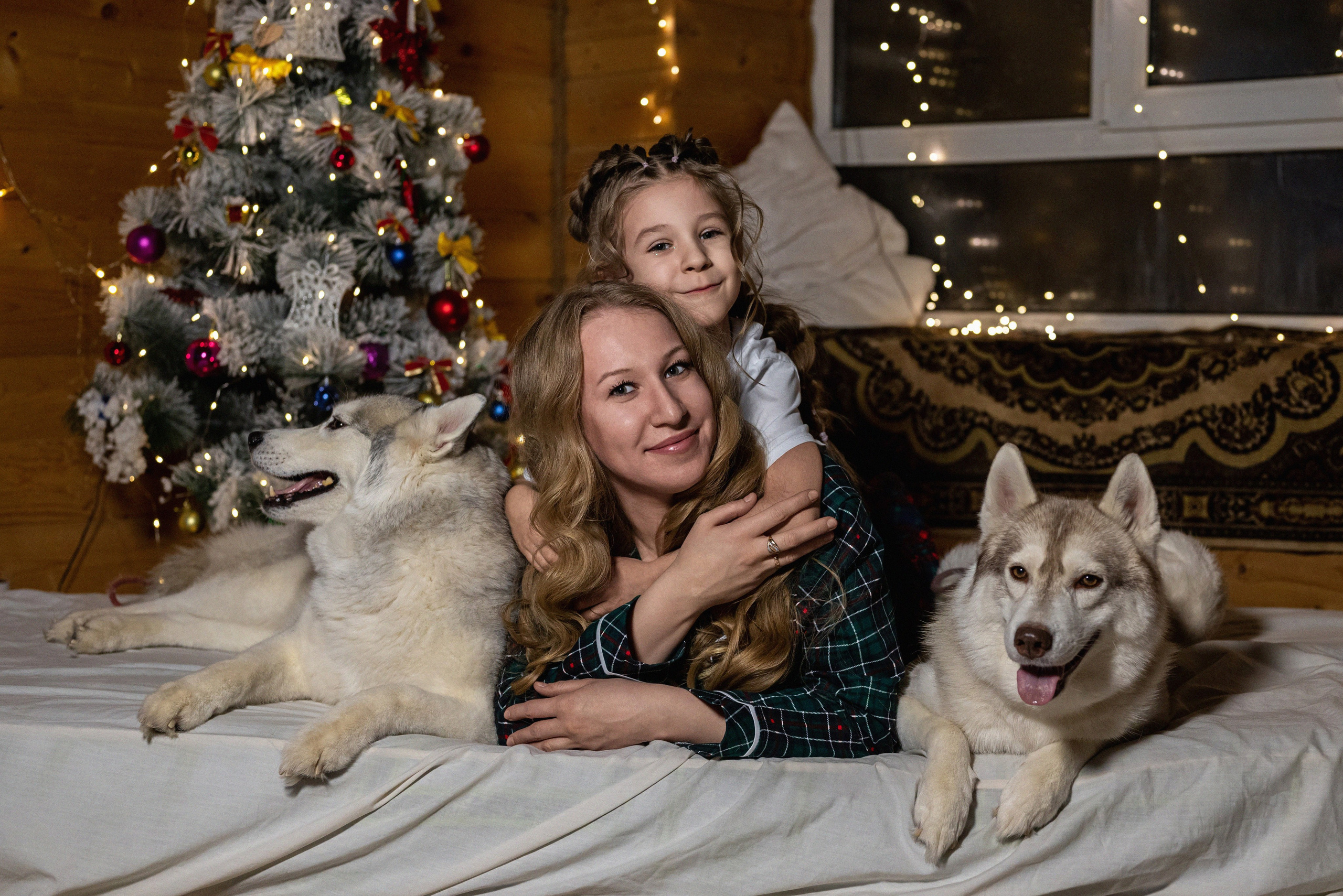 Фотопроект с хаски 2024 г. Фотограф в городе Салават