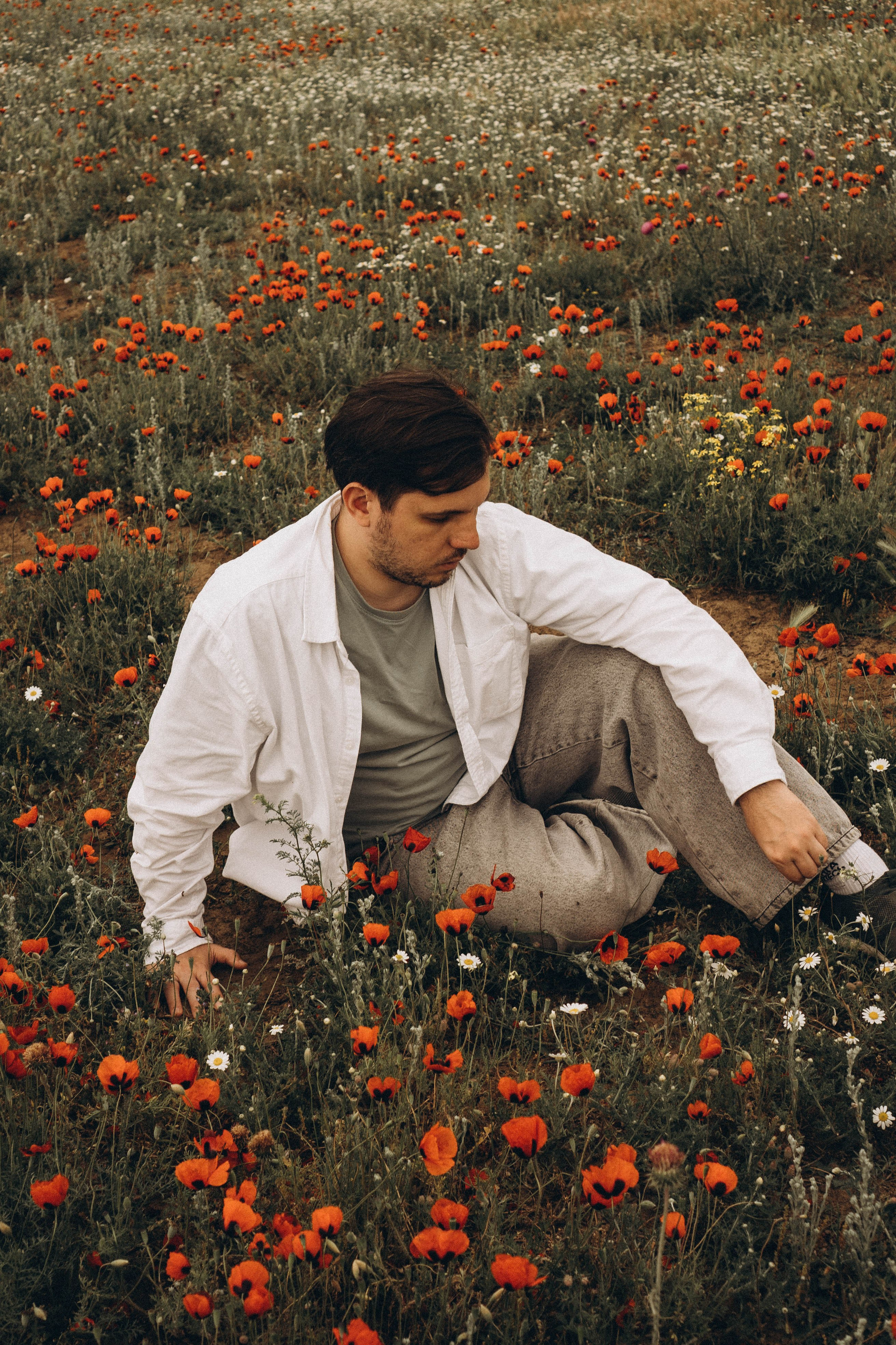 Маки. Профессиональный фотограф, Санкт-Петербург — Виктория Богомолова