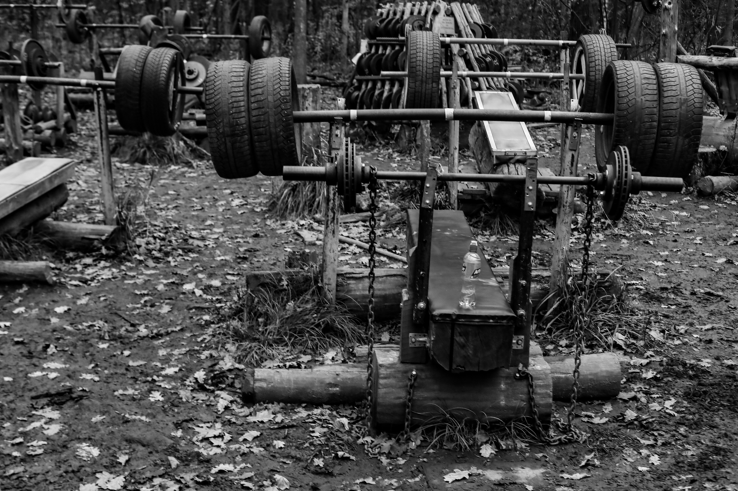 Качалка в лесу — 2022. Стас Привалов