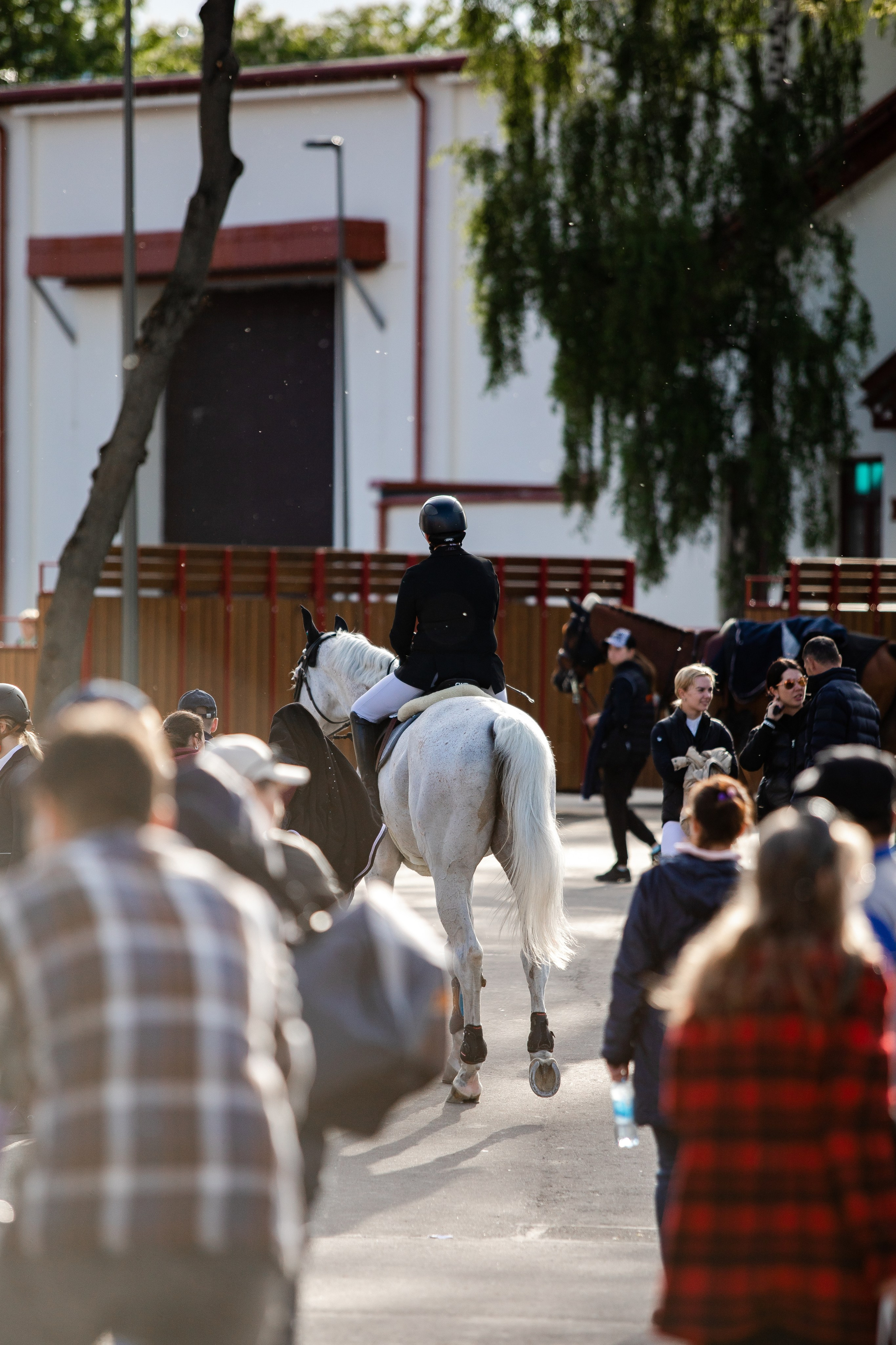 Турниры. Veronika Makeeva horse photo