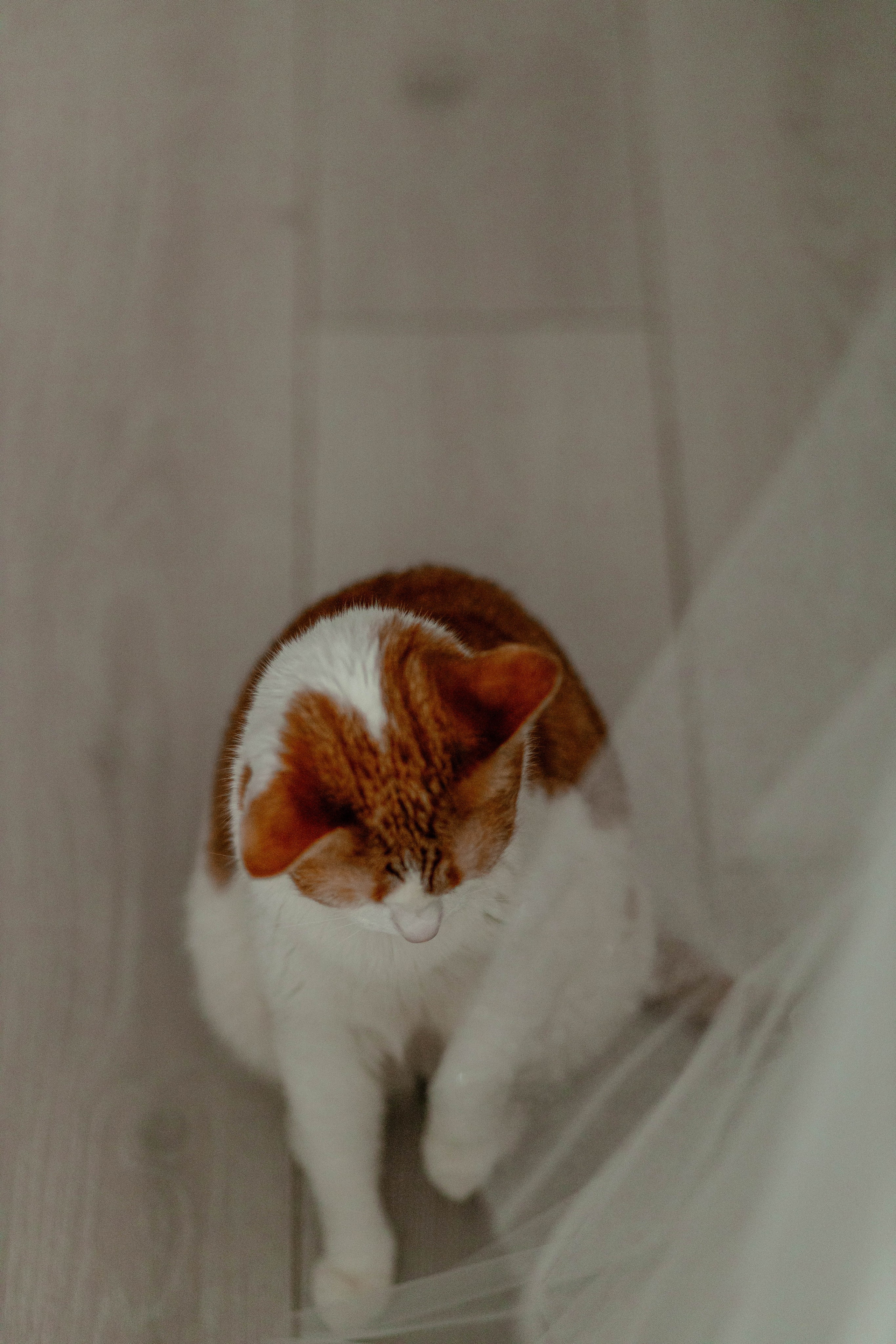 Кирилл & Ксения. Свадебный и семейный фотограф в Ижевске