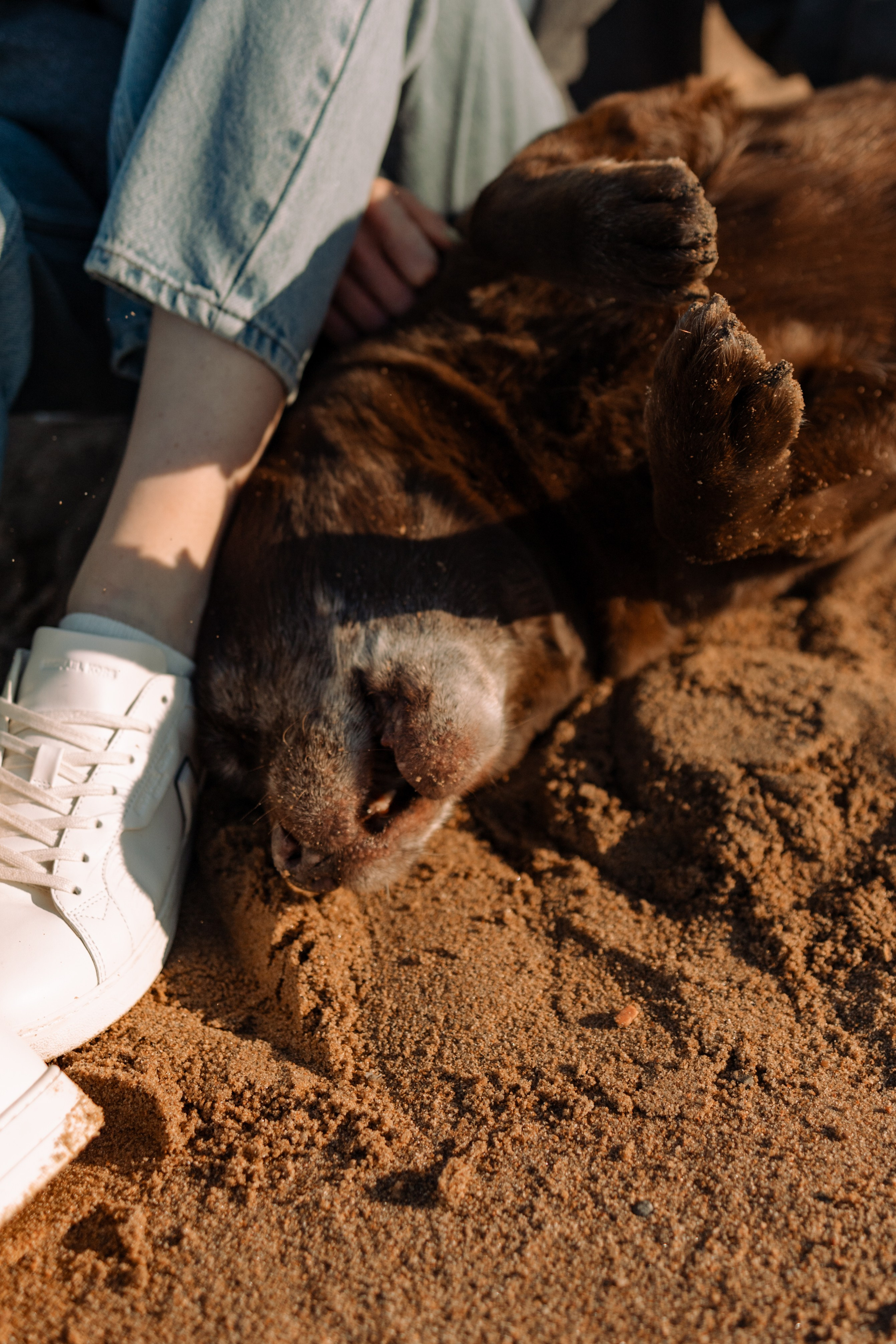 Оля и Питоня. Фотограф — Анималист | Санкт-Петербург