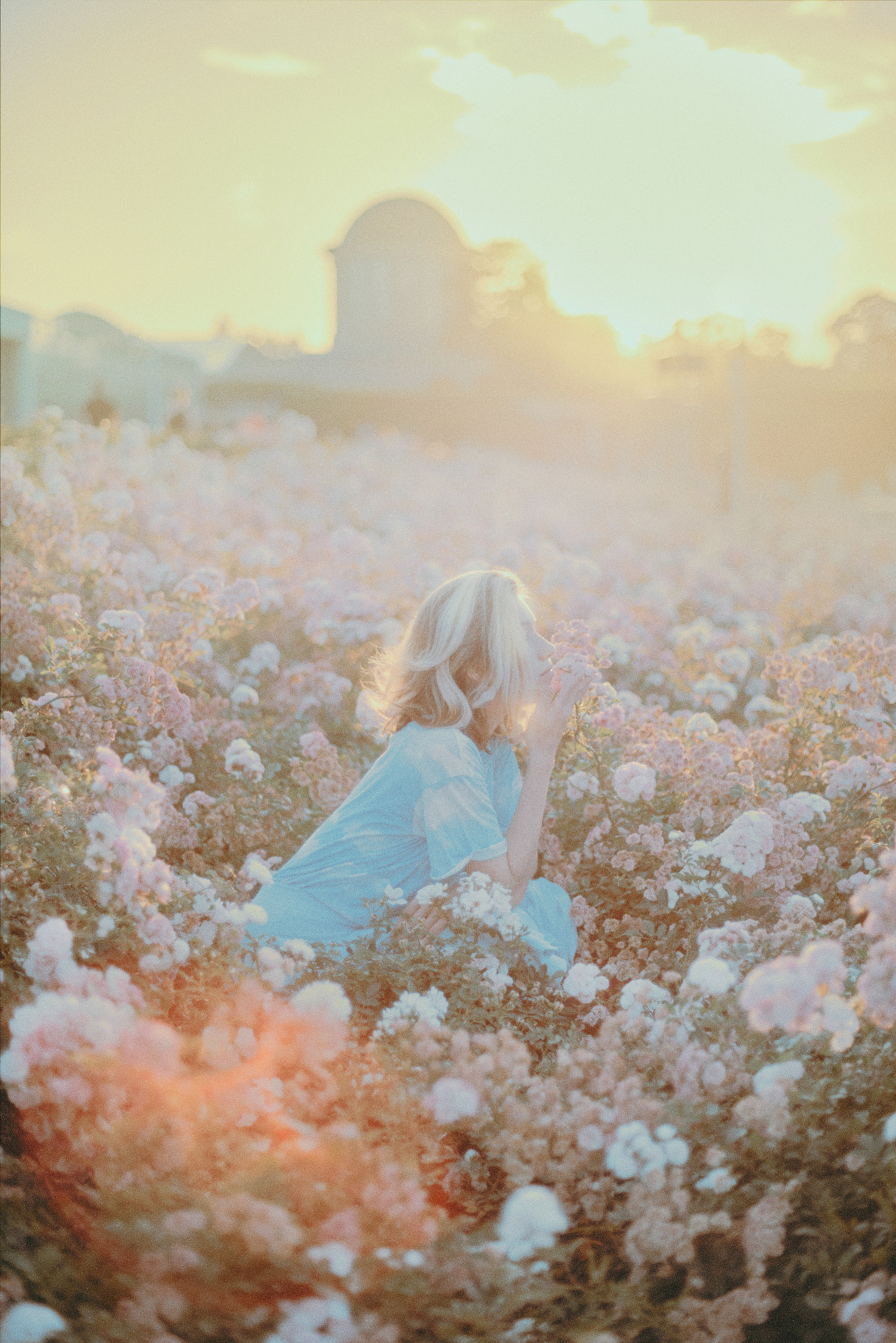 Нежный Вроцлав. Антон Арнольд | Фотограф Минск