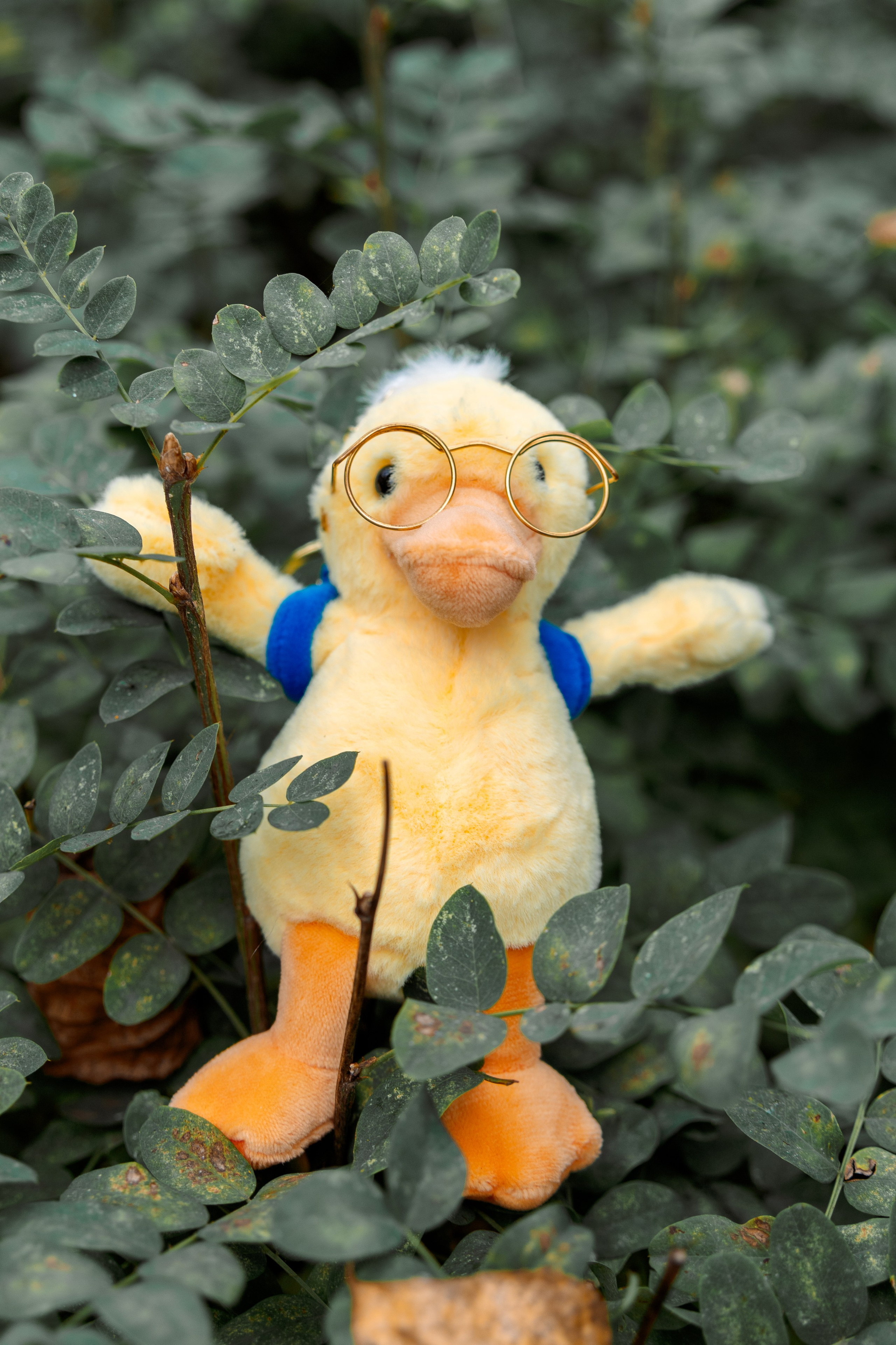 Татьяна и Карина. Фотограф Алина Ширанкова в Братске