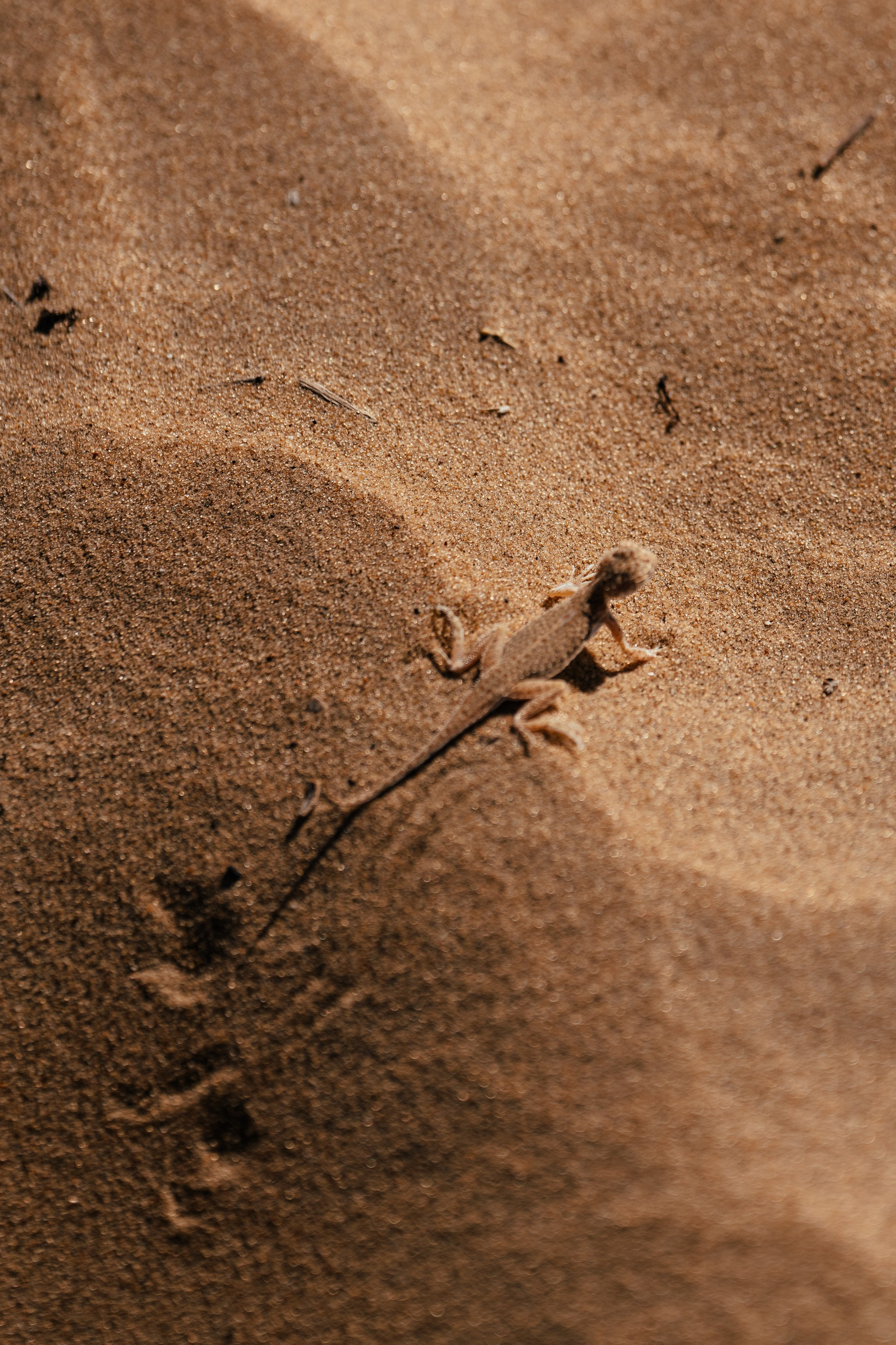 Фотографии Узбекистана. Фотографии Дмитрия Захаренко