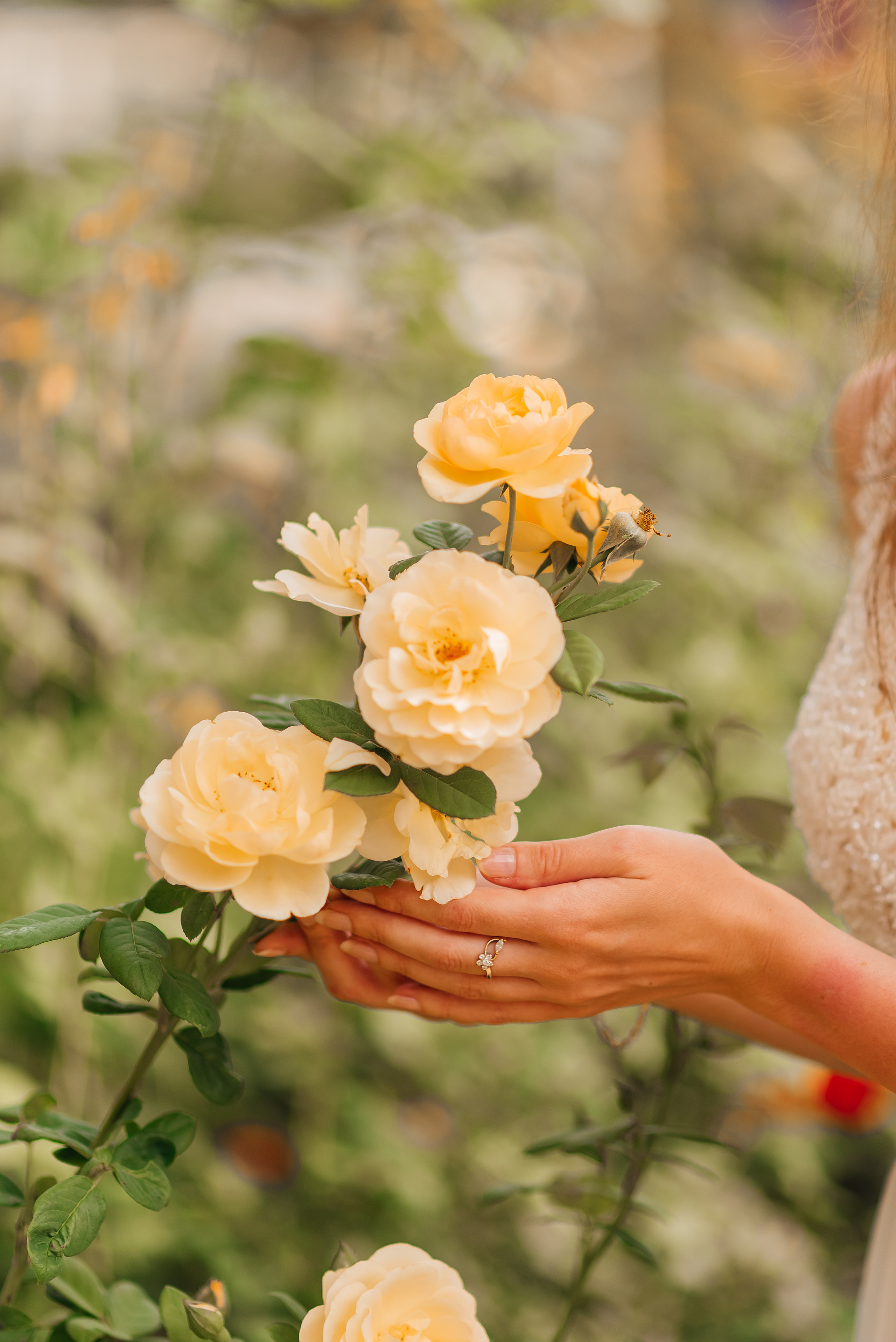 Свадебные прогулки. Семейный и женский фотограф Лоо Краснодар Сочи Энем Татьяна Трибурт
