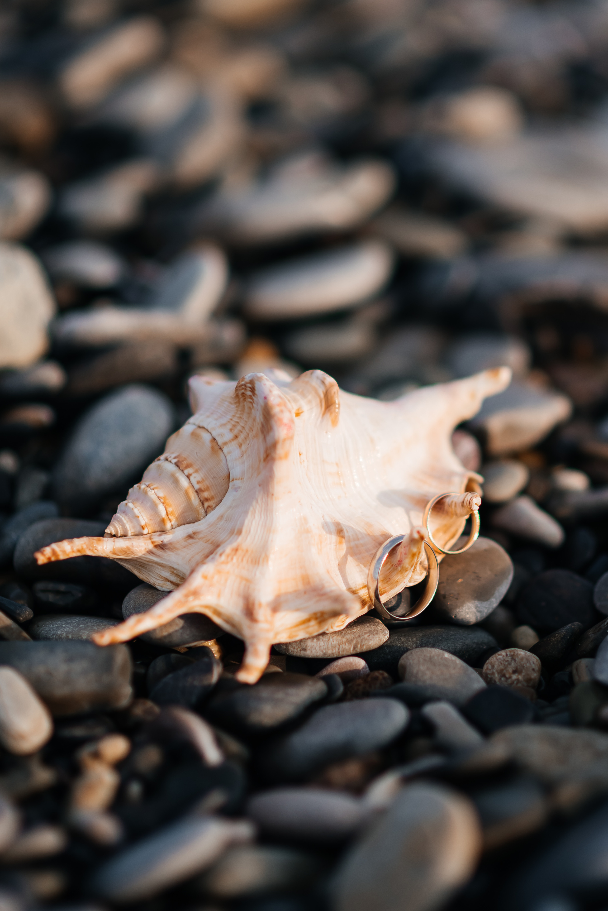Свадебные прогулки. Семейный и женский фотограф Лоо Краснодар Сочи Энем Татьяна Трибурт