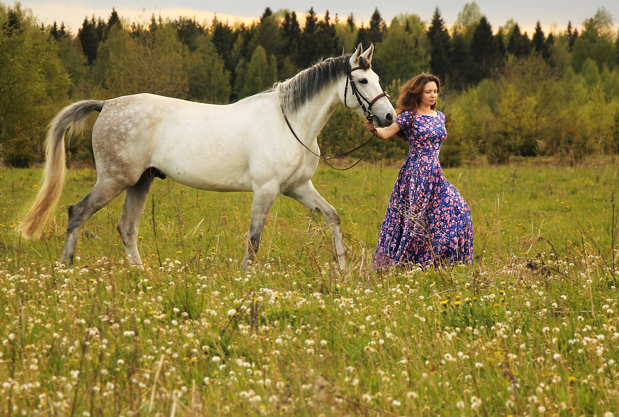 Красавица и конь. Фотограф в Москве Юлия Карпова