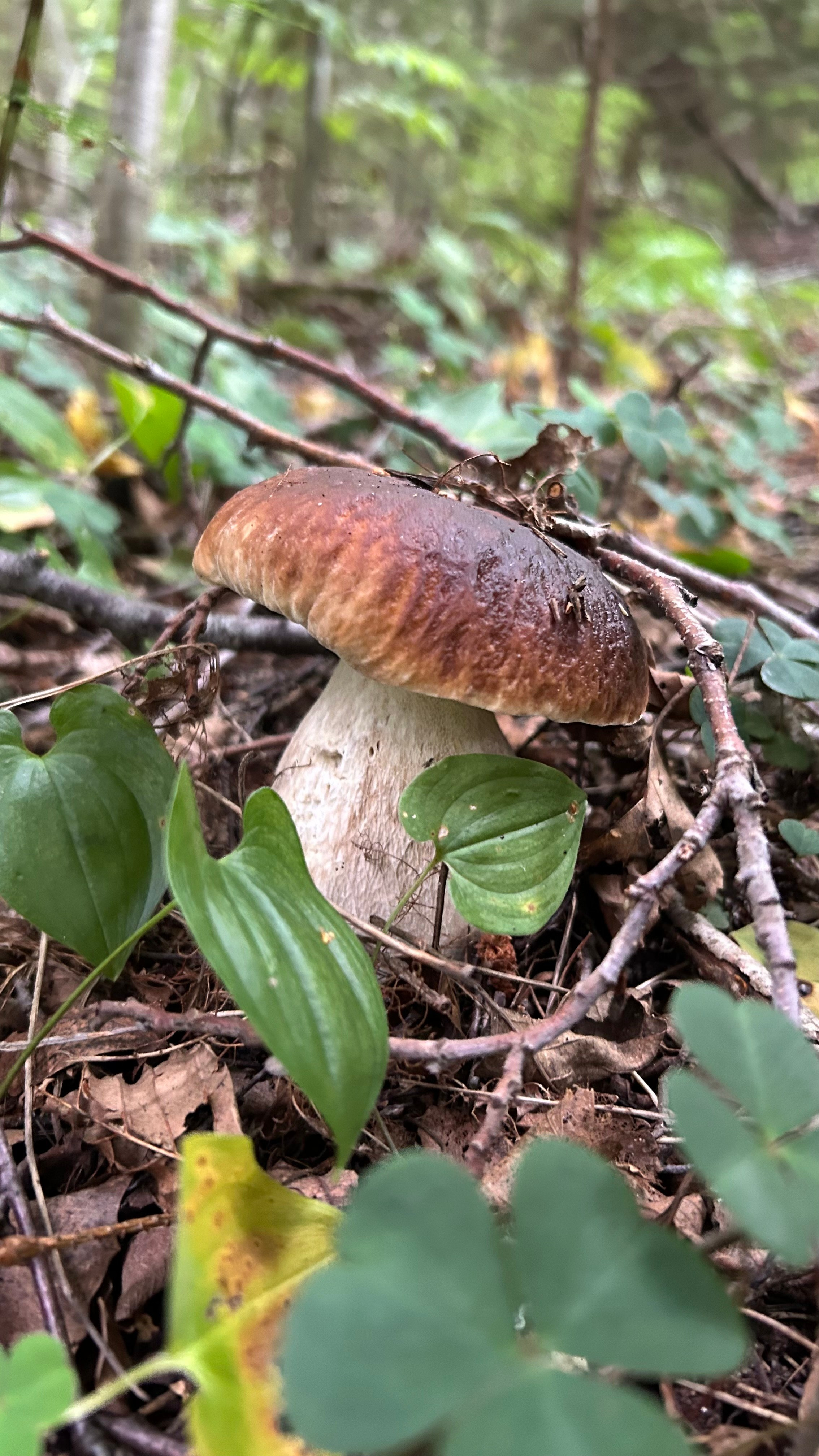 Лето, ах лето. Фотокружок «Видоискатель» ГБОУ СОШ № 291