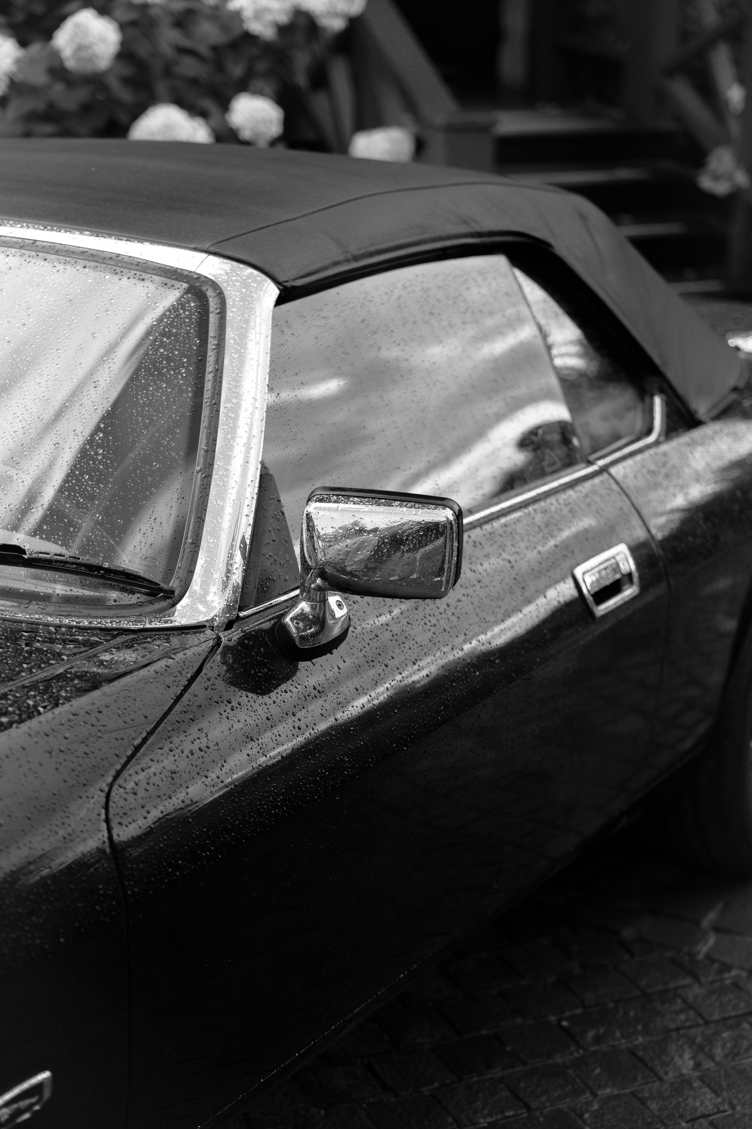 Никита и Лиза. Фотограф Москва|Комиссарова Наталья