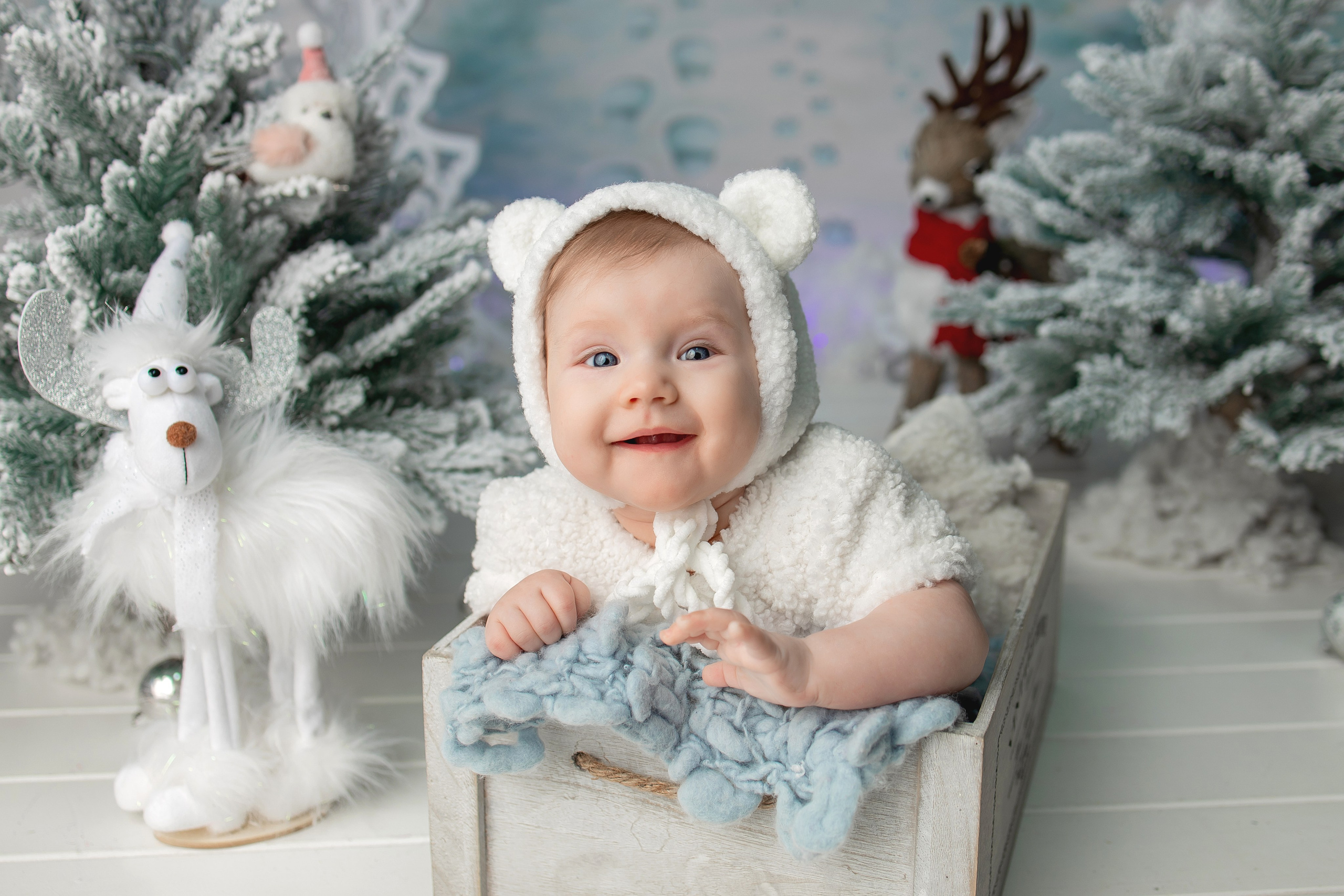 Новогодняя фотосессия. Фотограф новорожденных в Чебоксарах Елена Смолина