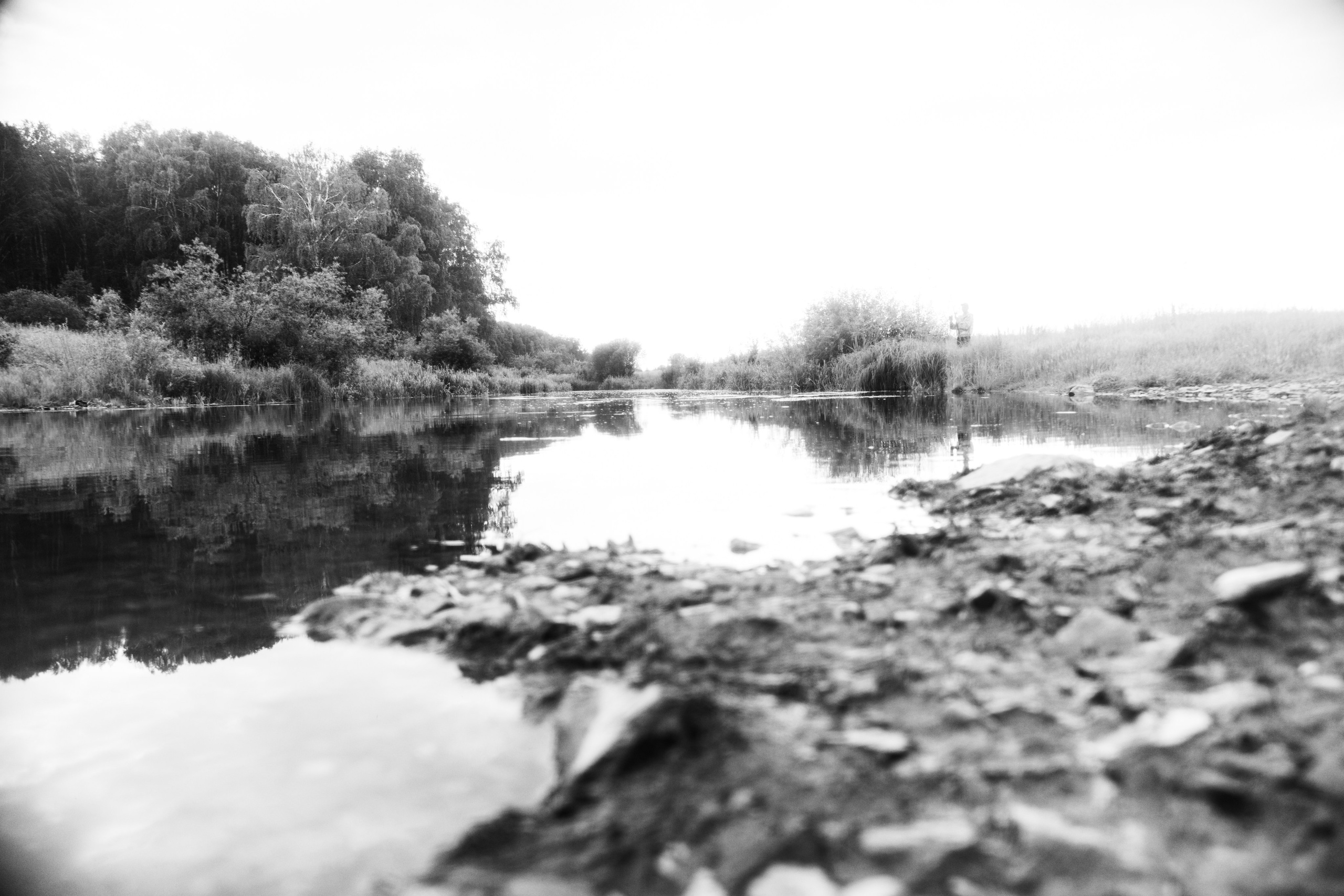 Natural Noir. Whoii art