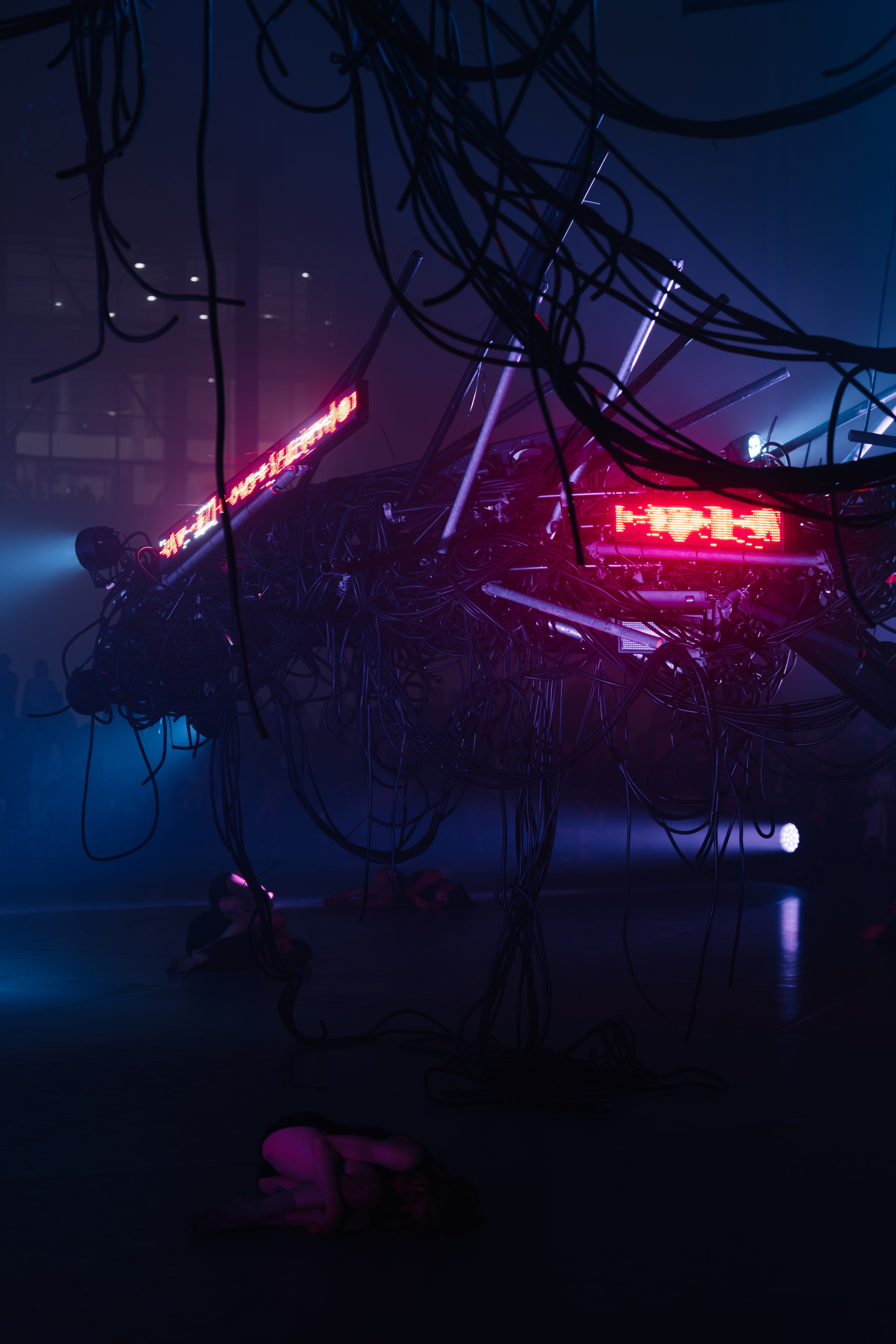 PERFORMA, The Hour of the Horse. @tomrus: Рустам Шагиморданов — фотограф