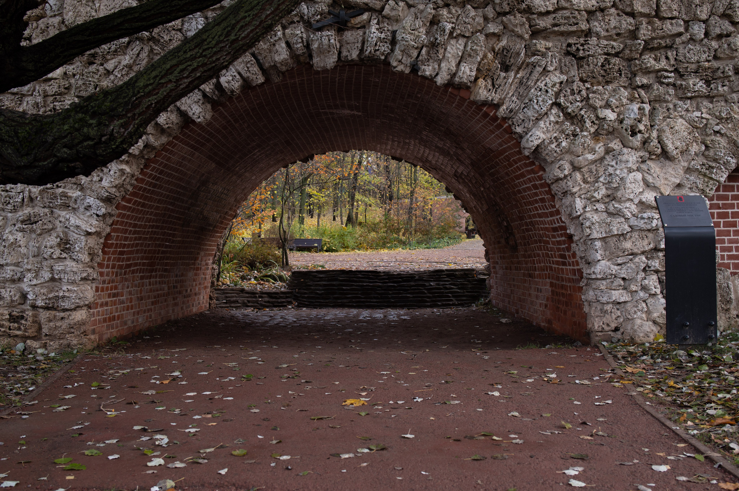 20231031 Нескучный сад. Дмитрий Ремизов. Фотография, как хобби
