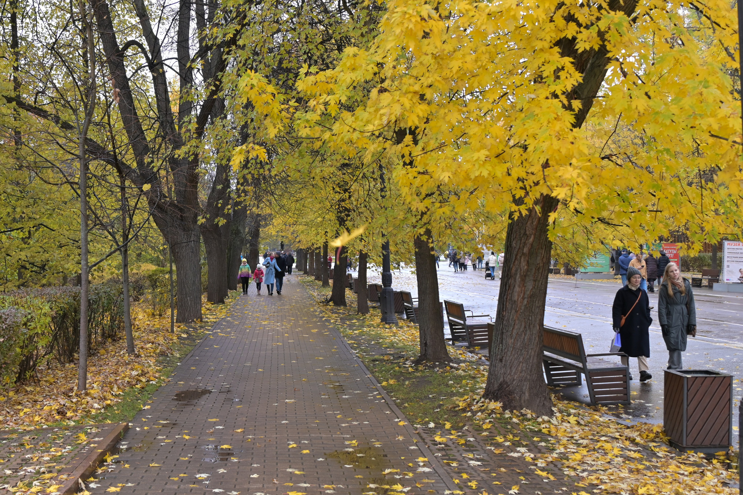 20241026 Сокольники. Дмитрий Ремизов. Фотография, как хобби