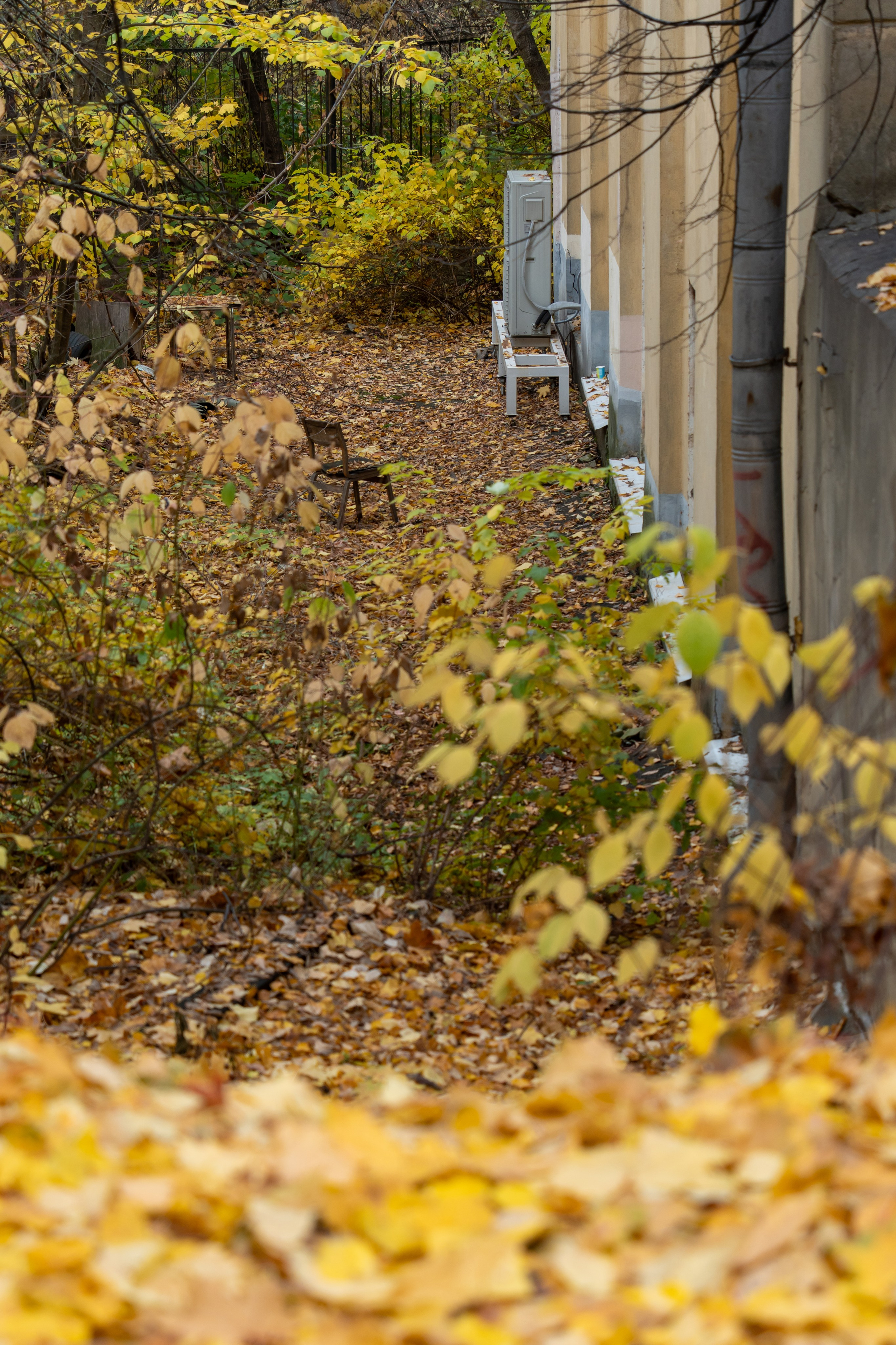 20251012 МГУ. Дмитрий Ремизов. Фотография, как хобби