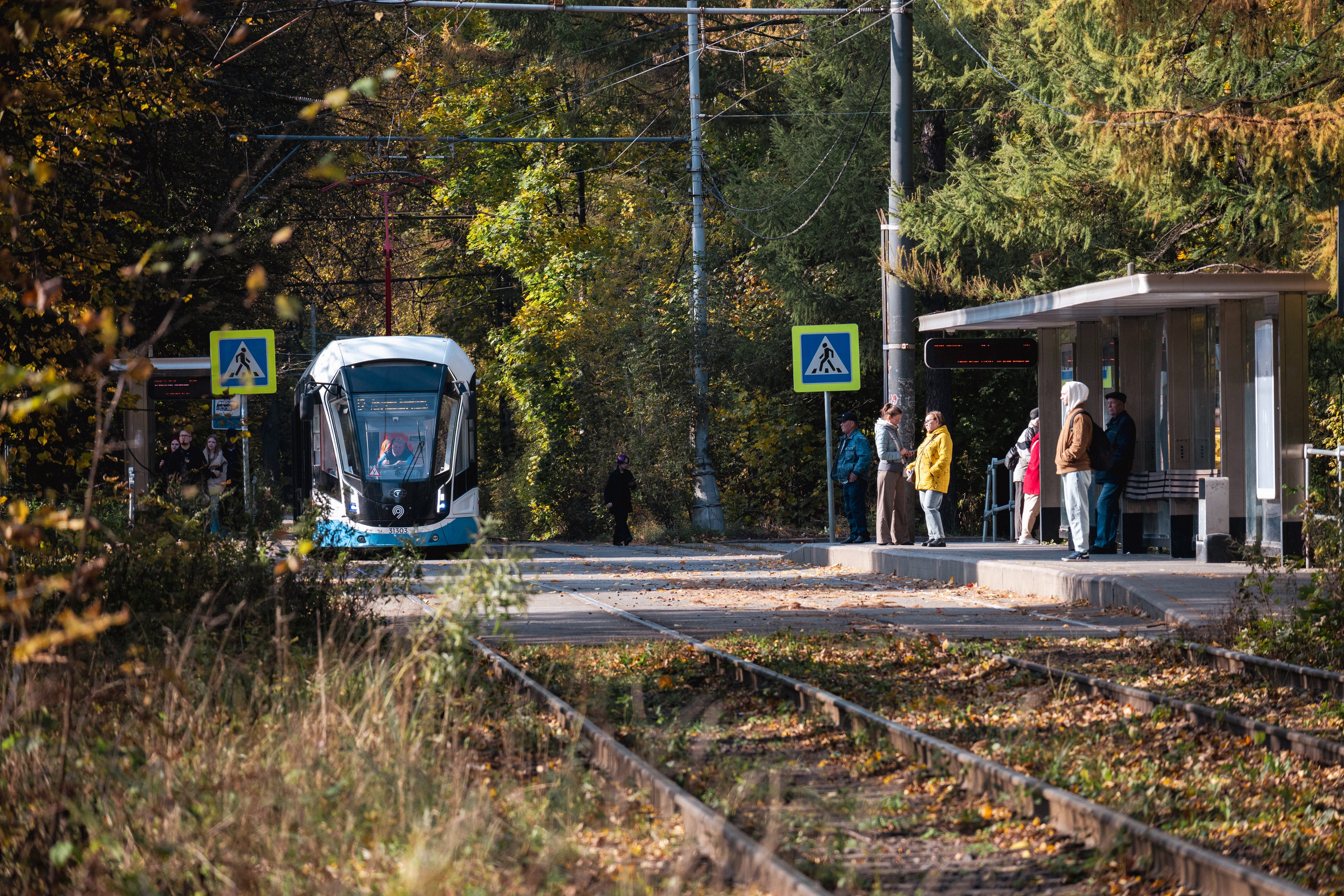 20241012 Измайлово. Дмитрий Ремизов. Фотография, как хобби