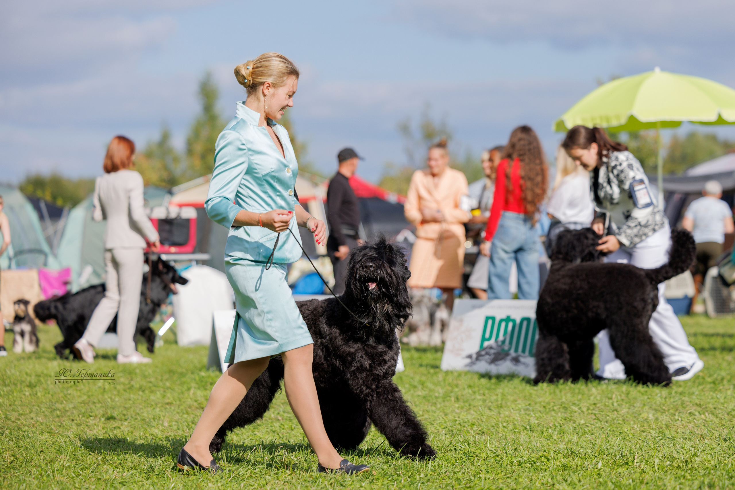 Переславль 5-7.08.2025. Фотограф-анималист Юлия Германика