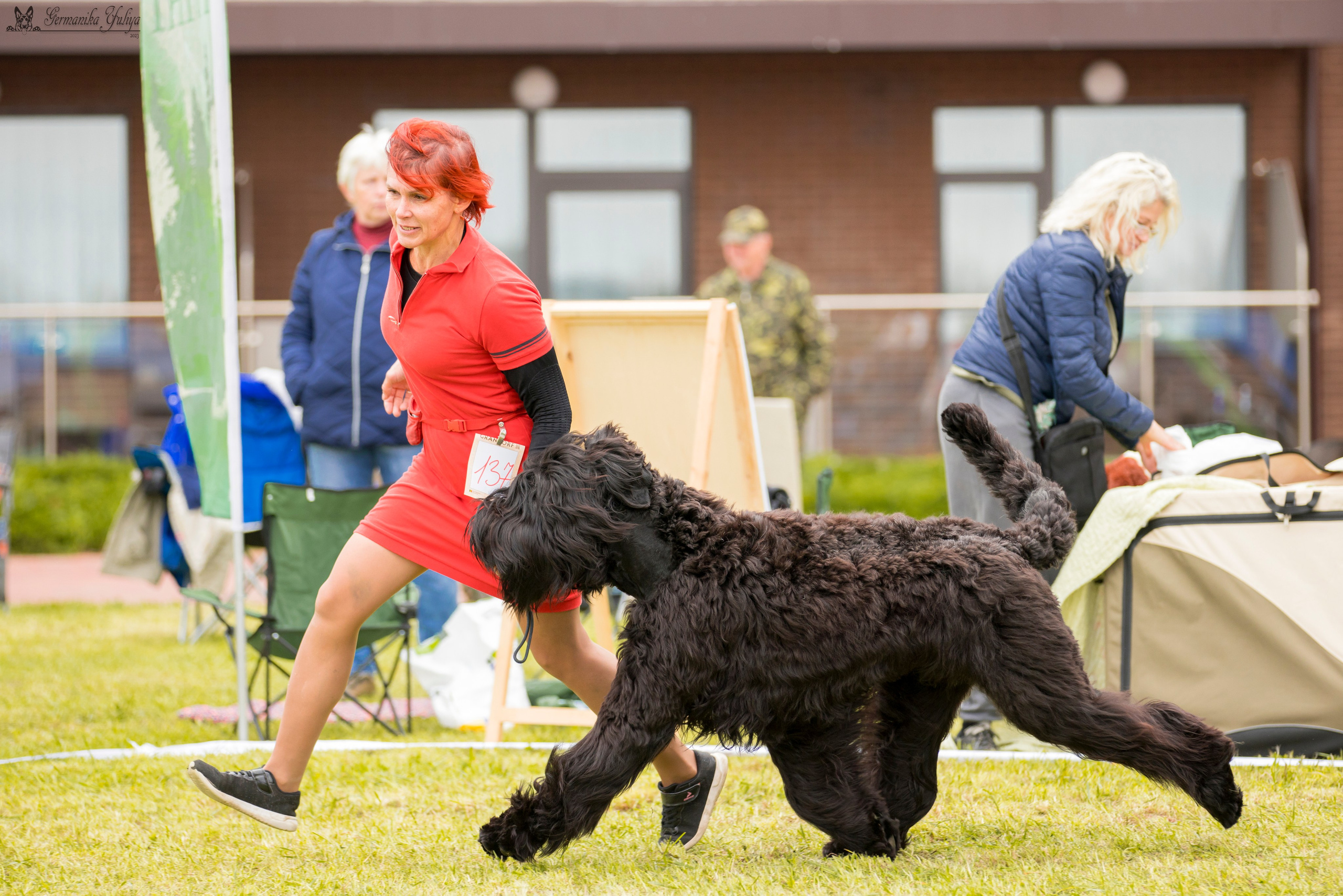 Переславль 9-10.09.2023. Фотограф-анималист Юлия Германика