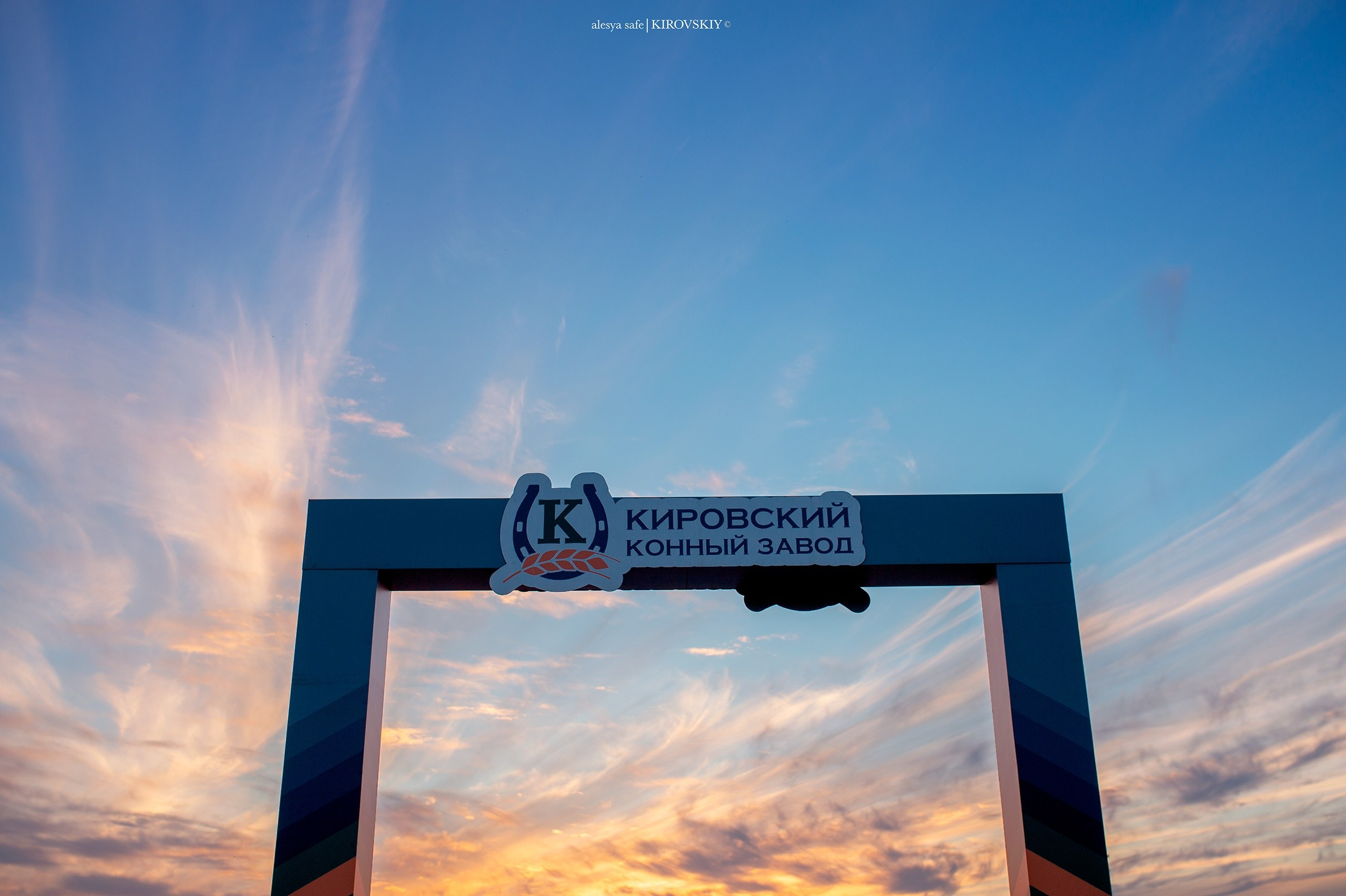 Кировский конный завод. Конный фотограф Alesya Safe