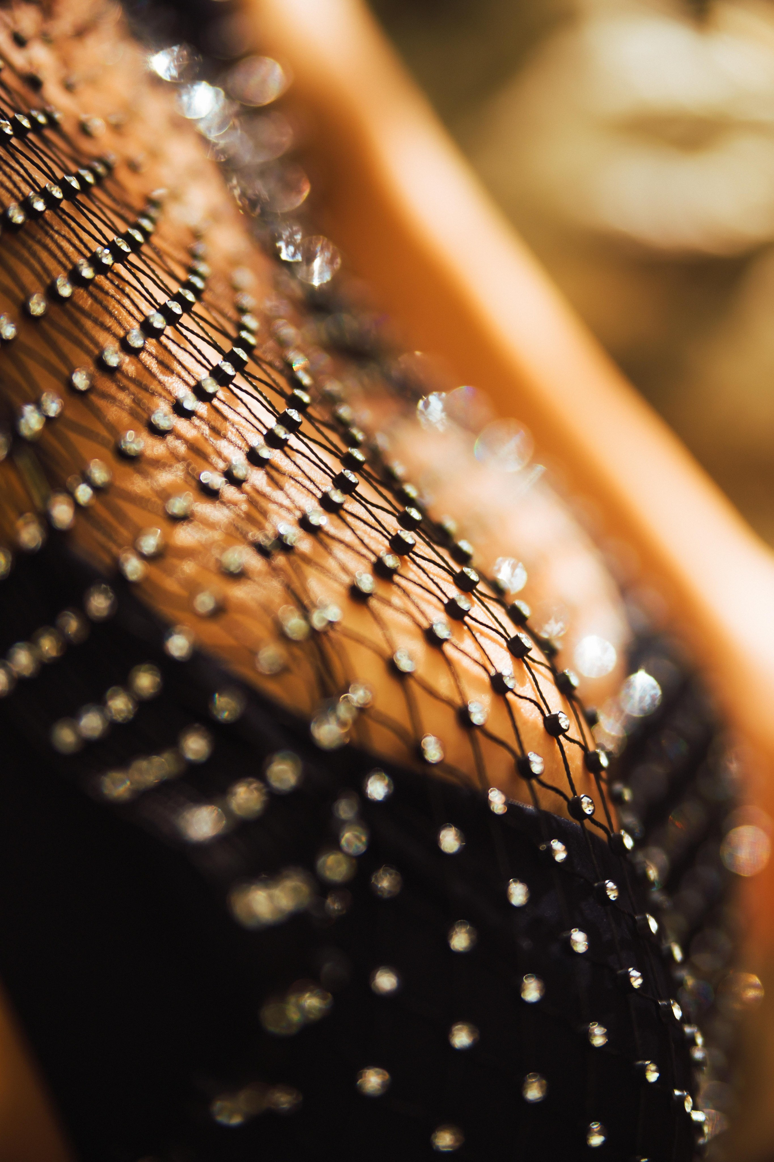 Крымские джунгли. Семен Соколов