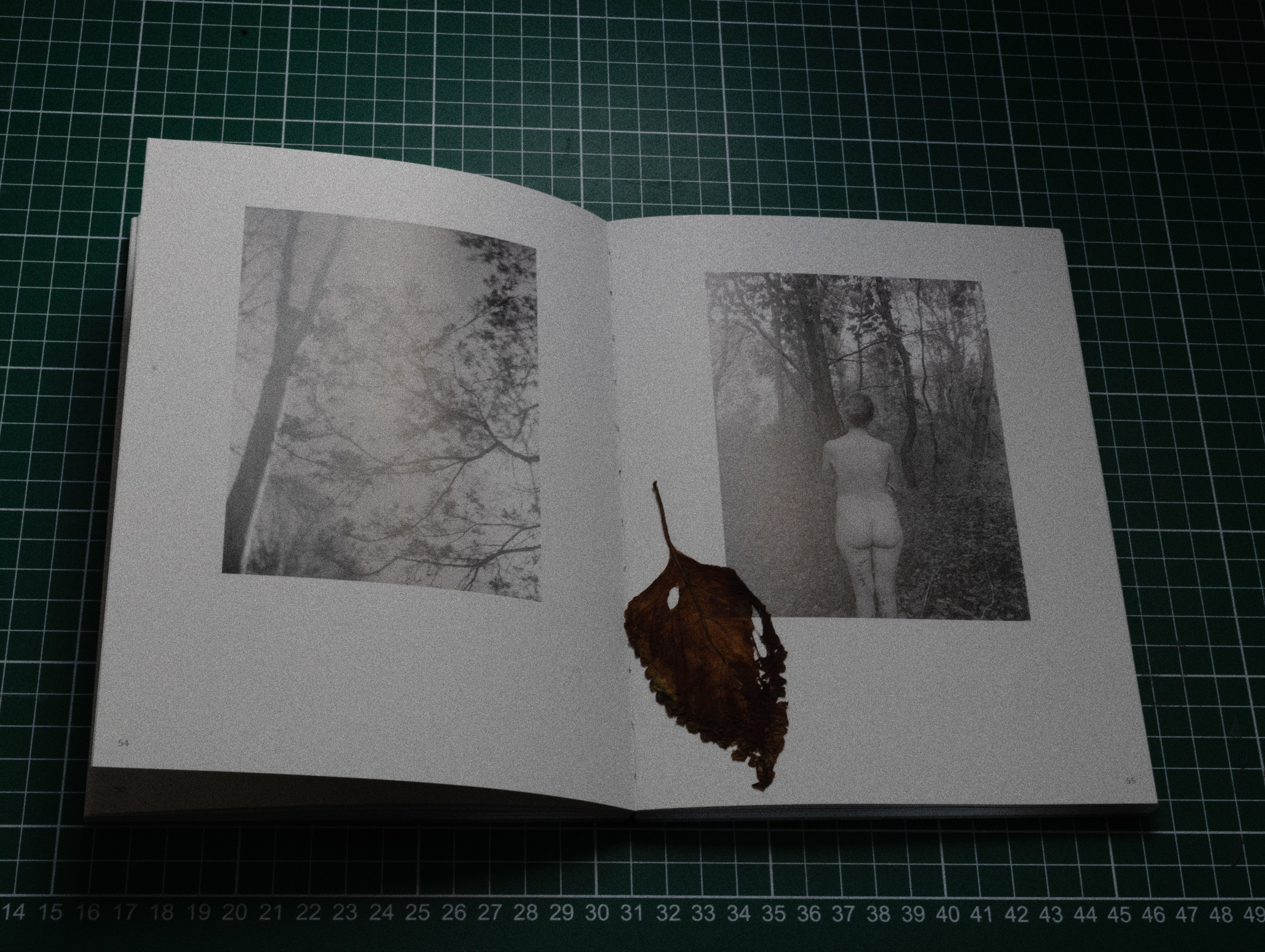 Фотокнижная библиотека Светы Кавериной. Фотограф и исследователь фотографии из Санкт-Петербурга Елизавета Веприцкая