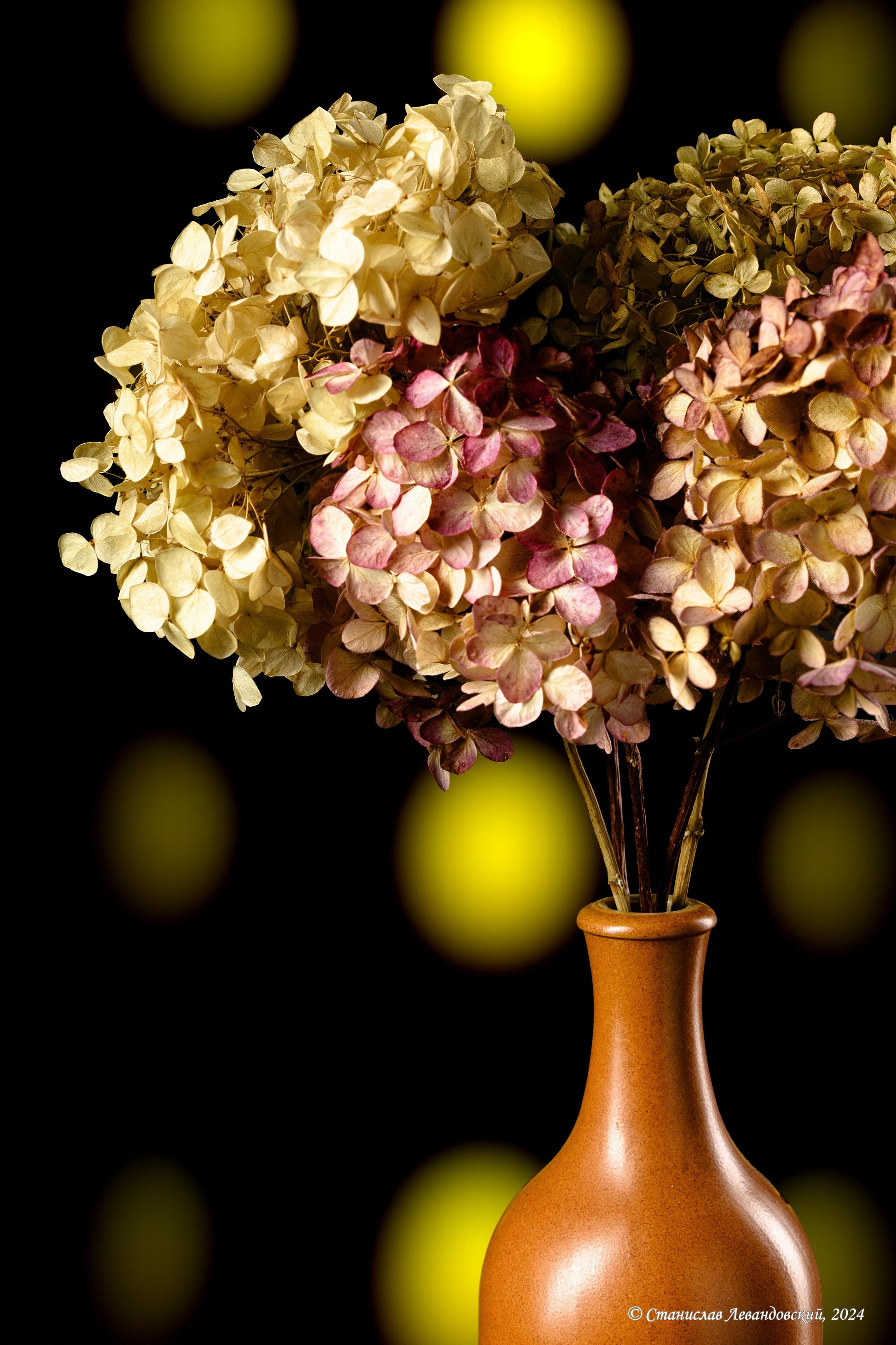 Предметы с матовой поверхностью. Предметный фотограф в Москве Станислав Левандовский