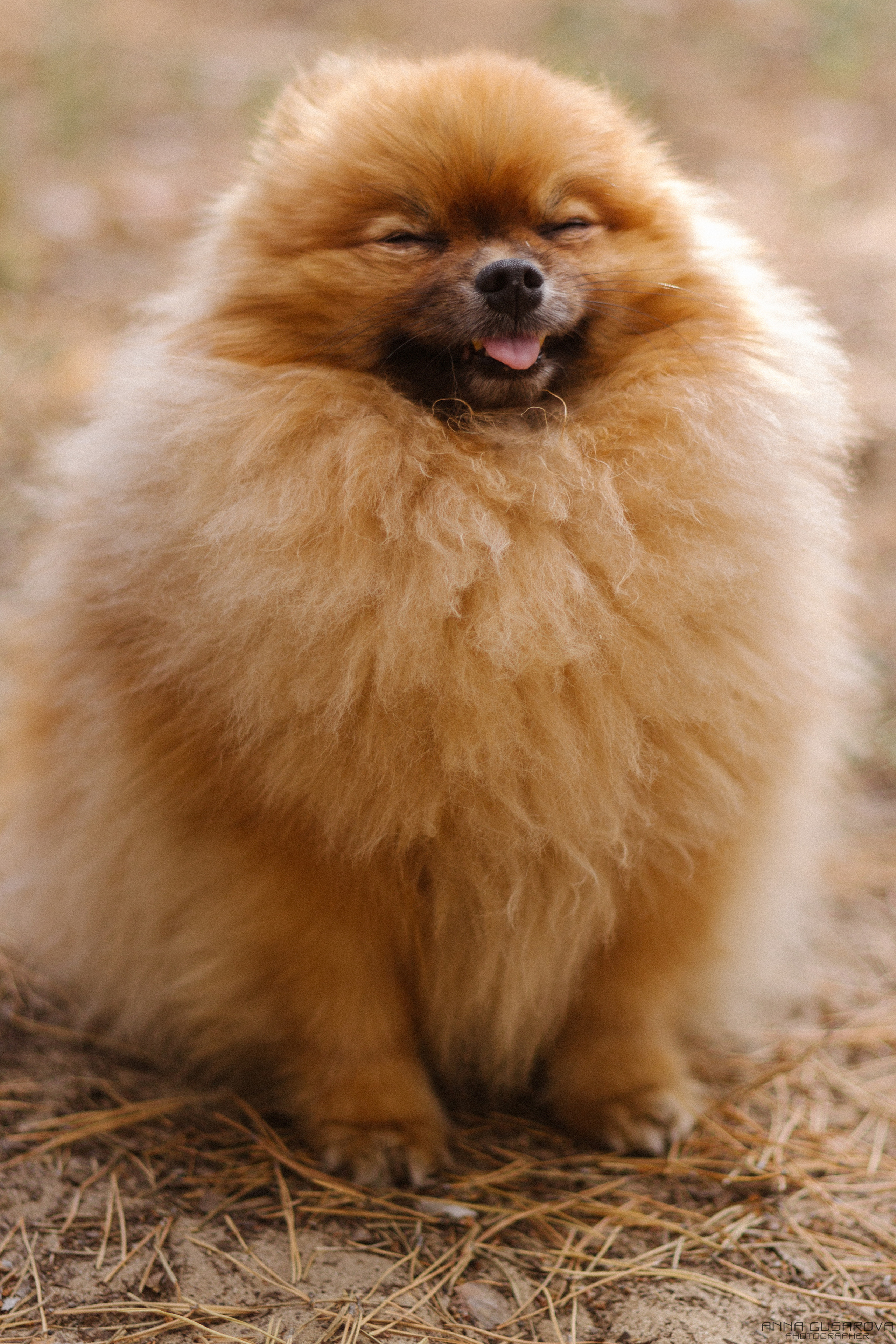 Алина + Максим. Анна Гусарова свадебный фотограф в Волгограде