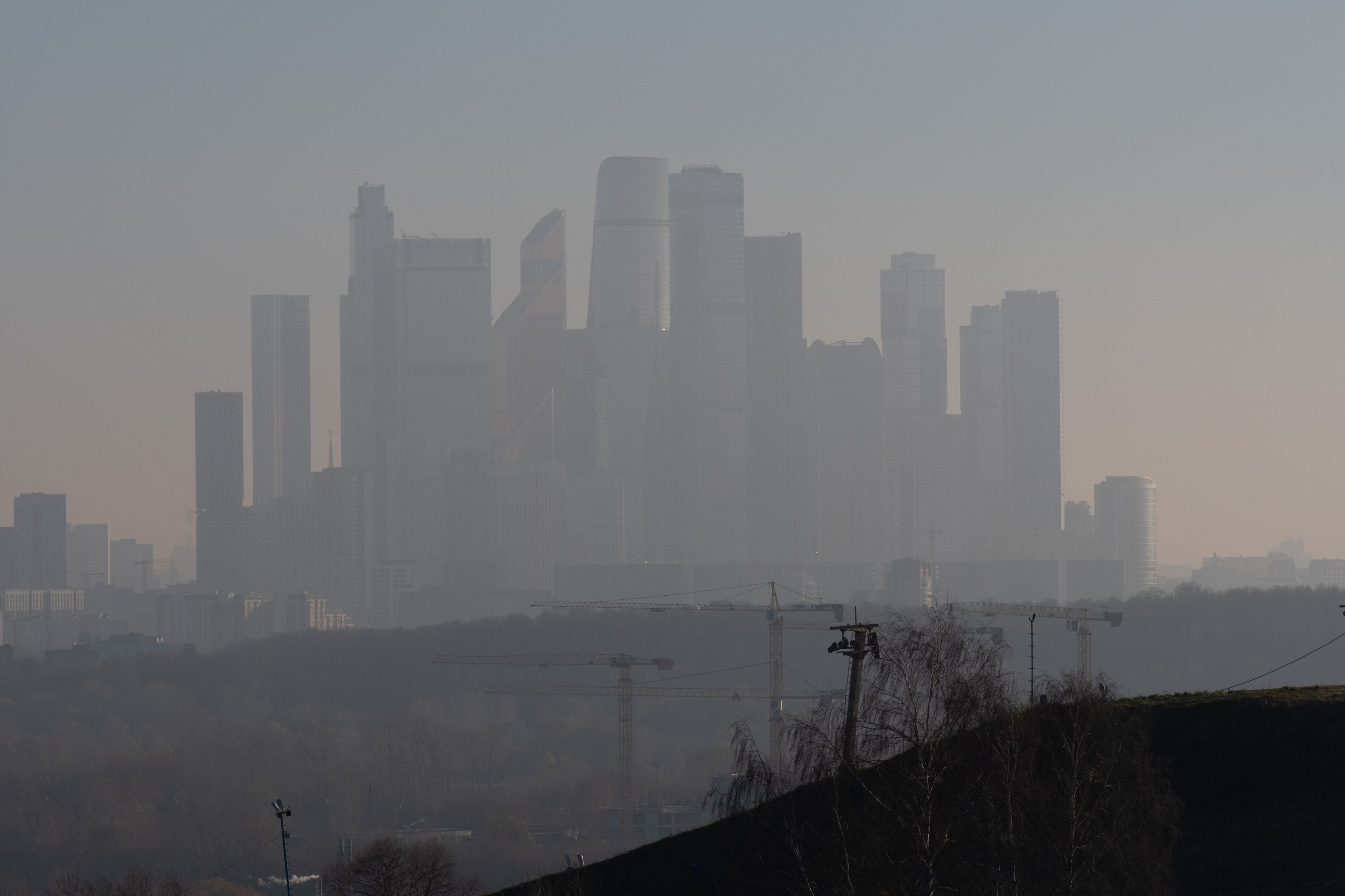 20211031 Крылатское. Дмитрий Ремизов. Фотография, как хобби