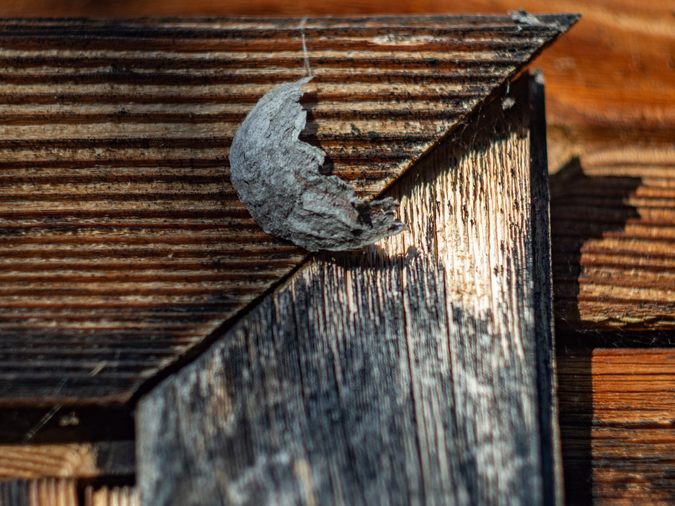 20230923-25 Родники. Дмитрий Ремизов. Фотография, как хобби