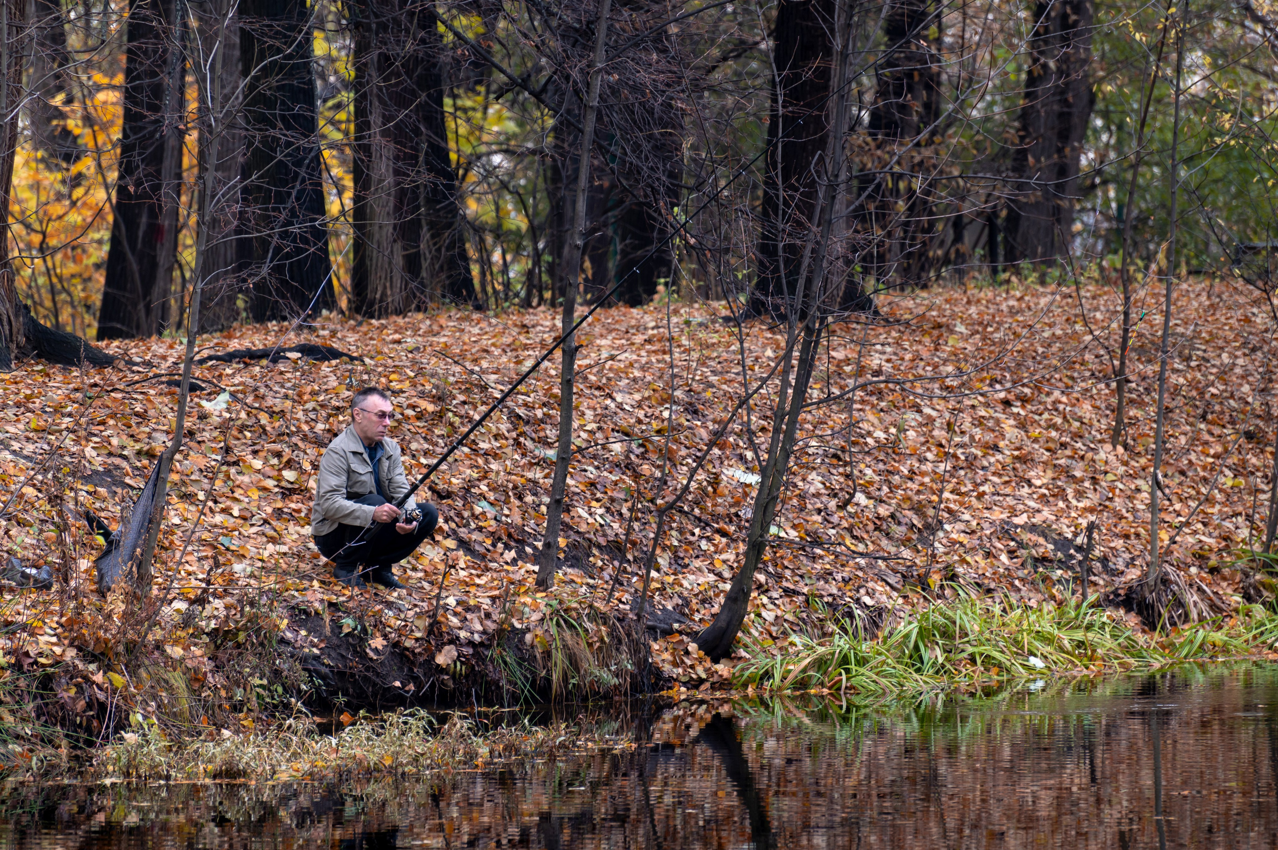 20231031 Нескучный сад. Дмитрий Ремизов. Фотография, как хобби