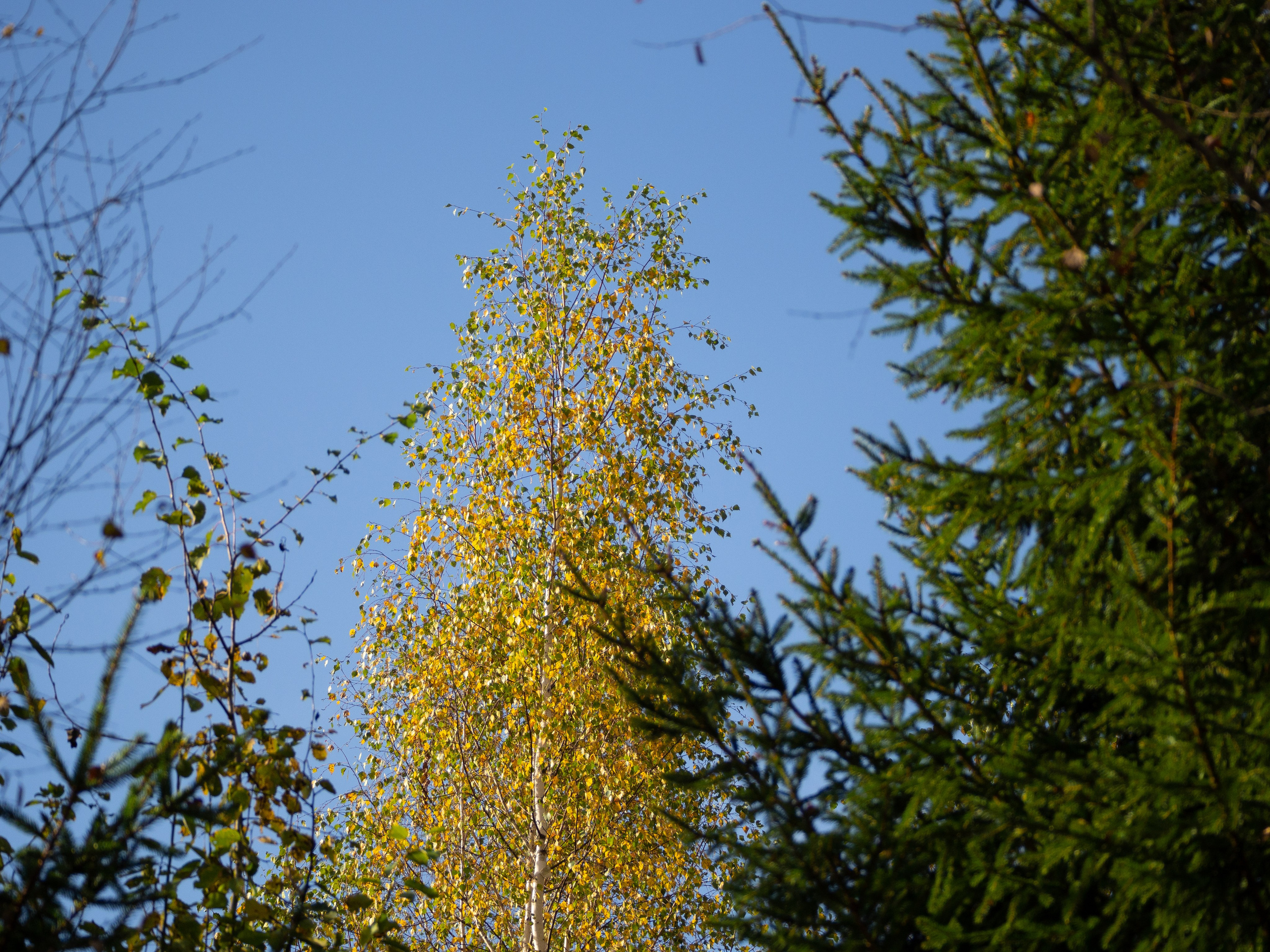 20230923-25 Родники. Дмитрий Ремизов. Фотография, как хобби