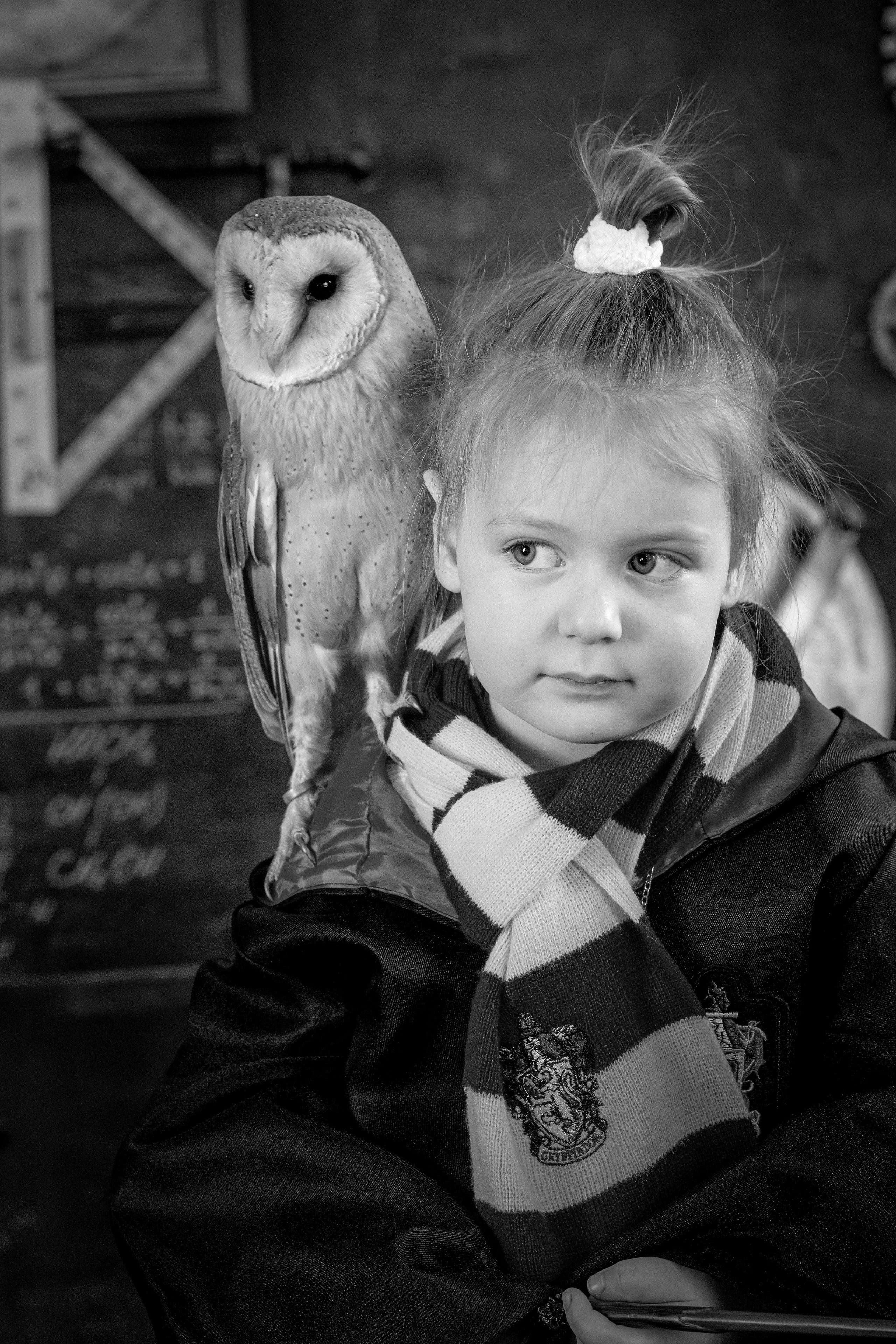 Фотопроект -Гарри Поттер. Марина Суздаль семейный и детский фотограф в Москве и Подмосковье