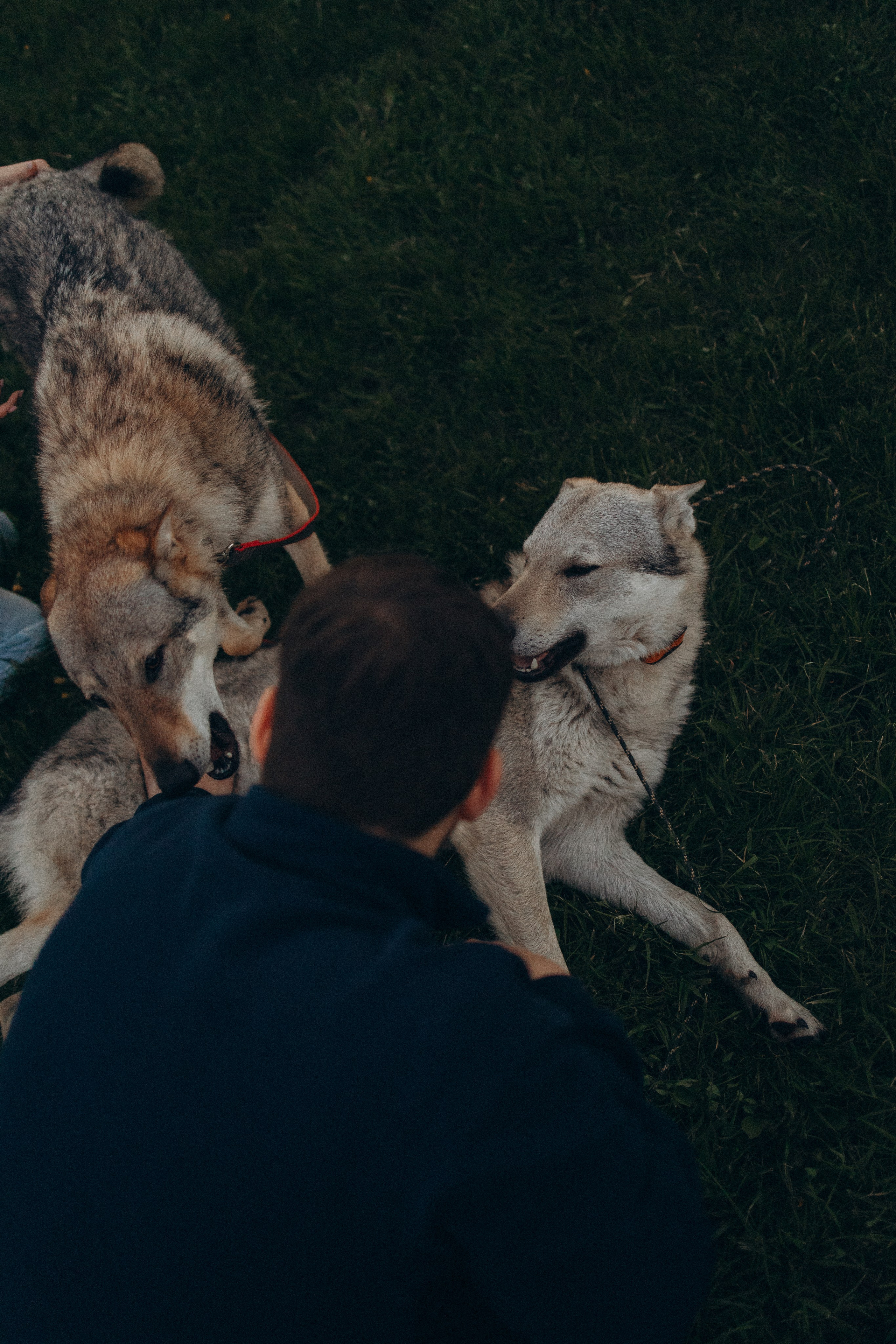 Аня и ее семья. Фотораф — анималист Мария Шистка