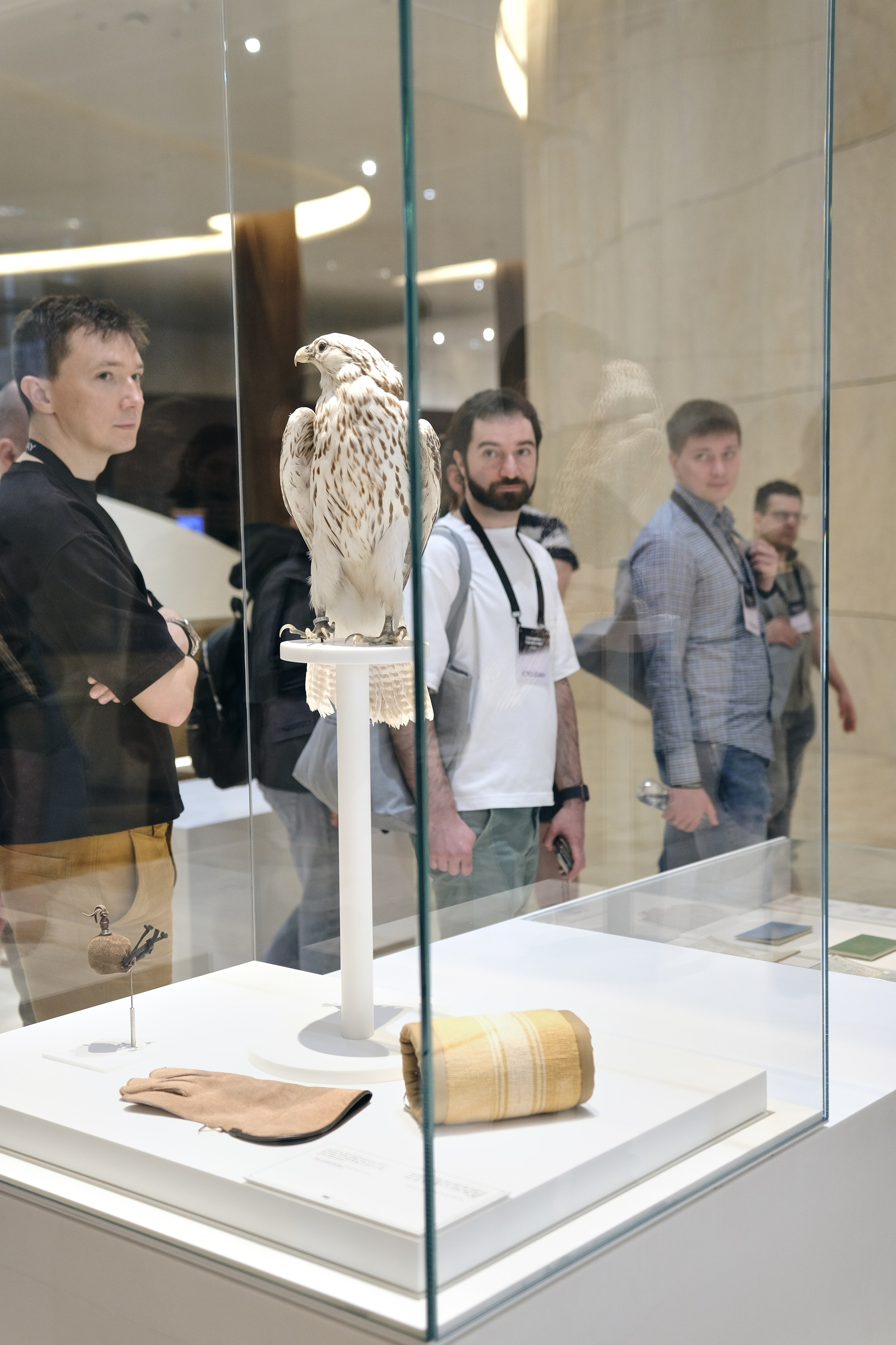 Яндекс конференция. Коммерческий, репортажный фотограф в Москве Лейла Мару