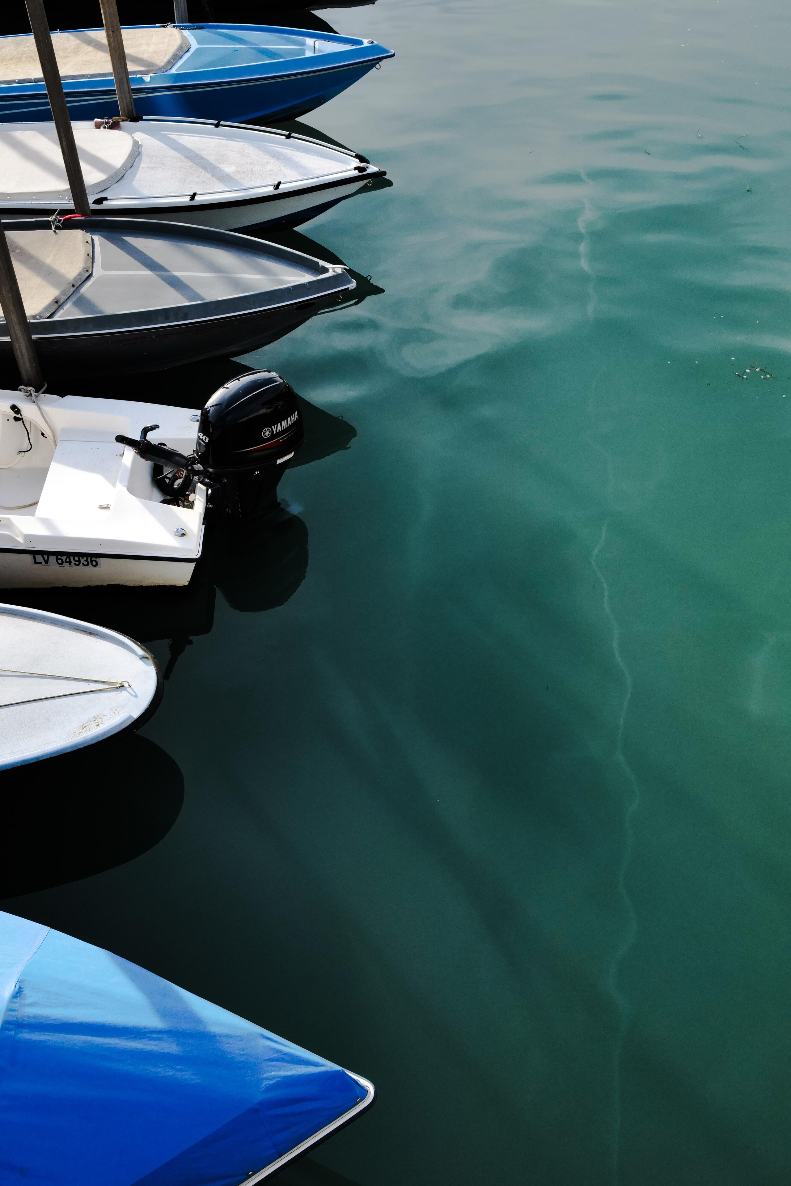 Venice. Фотограф Евгения Добротворская
