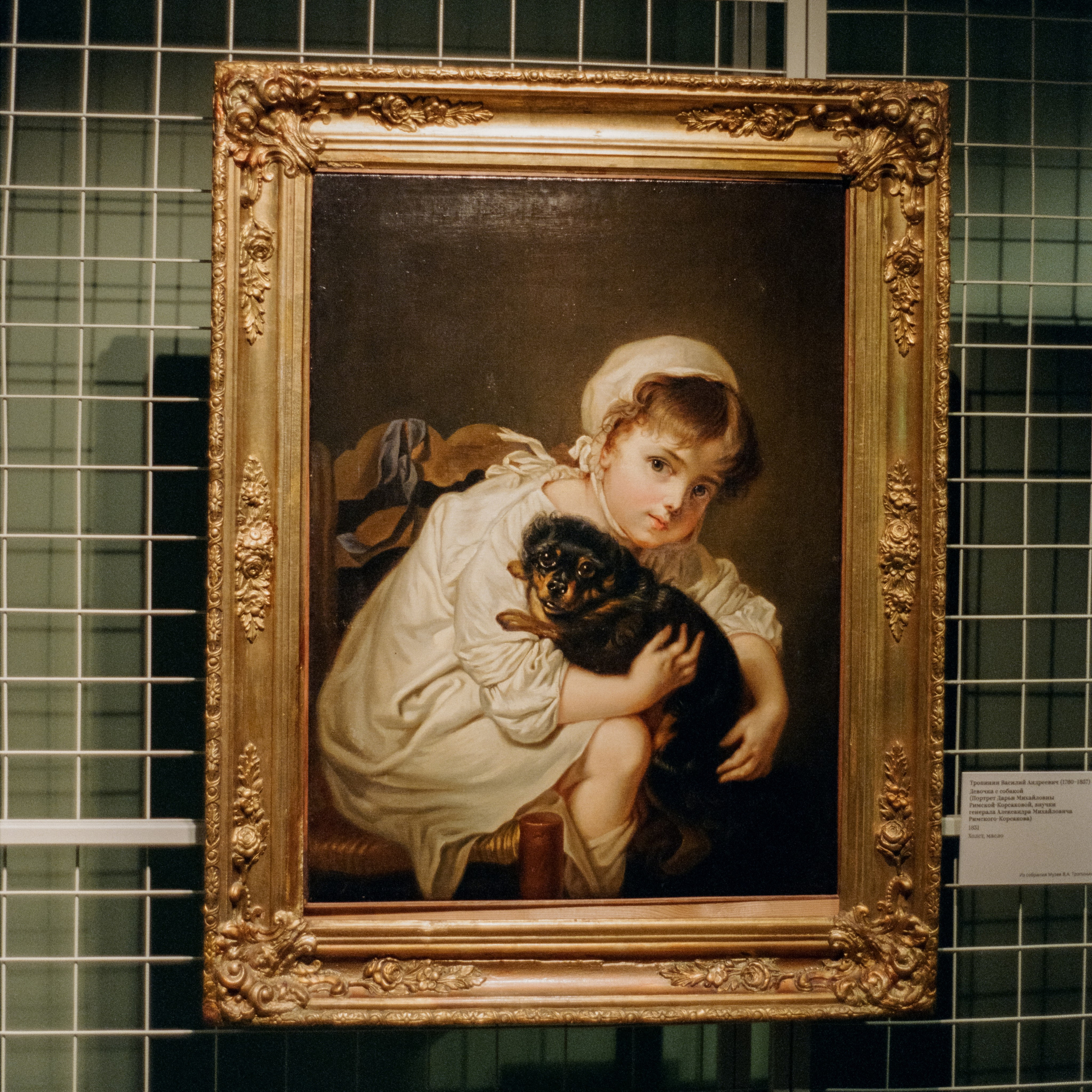 Музей Тропинина / Перспектива 500T (Kodak Vison 3 500T) / Contax G1