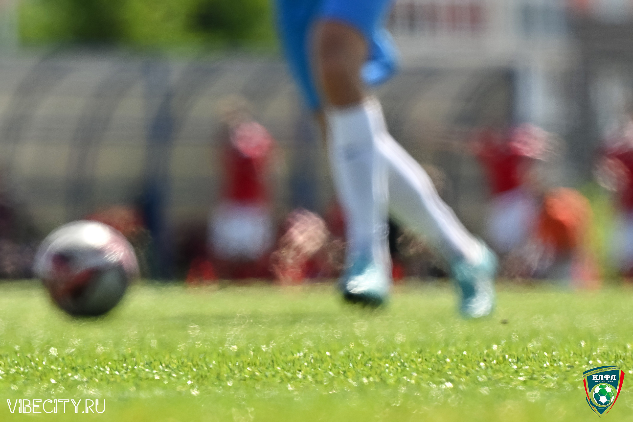 Чемпионат России по мини-футболу. VIBECITY.RU Вайб Сити Ру Фоторепортажи Фотоотчеты Калининград